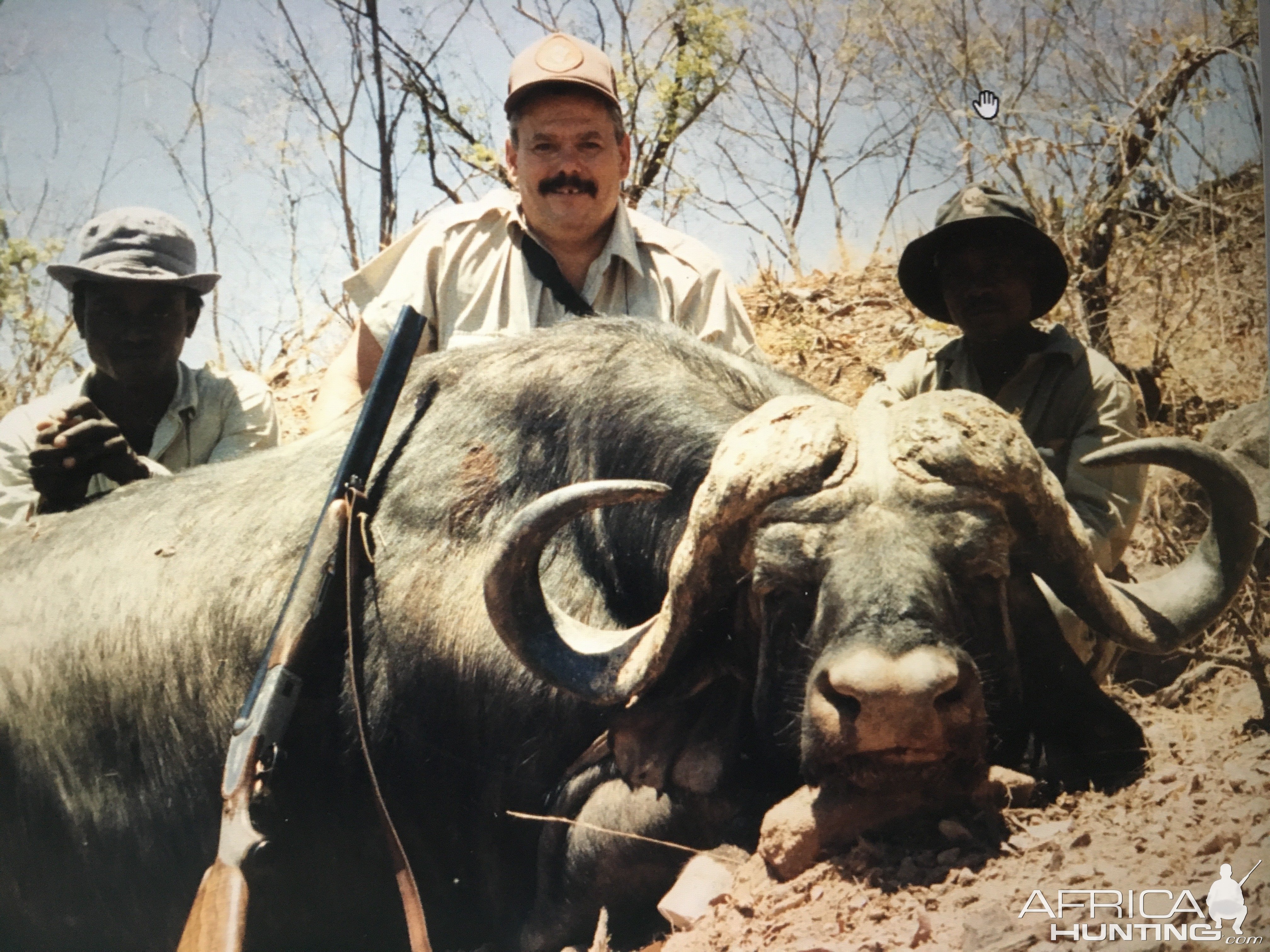 Cape Buffalo Hunting