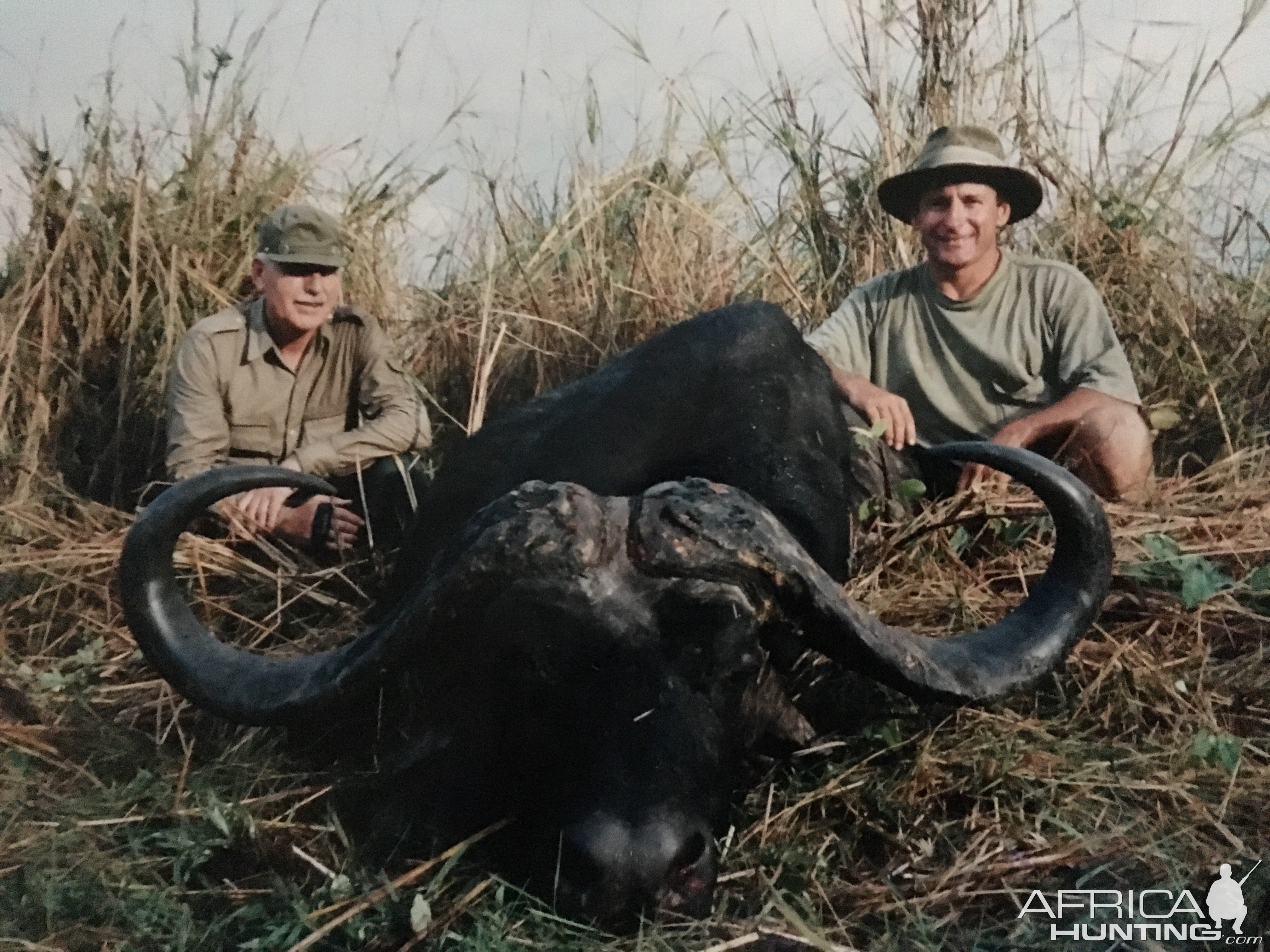 Cape Buffalo Hunting