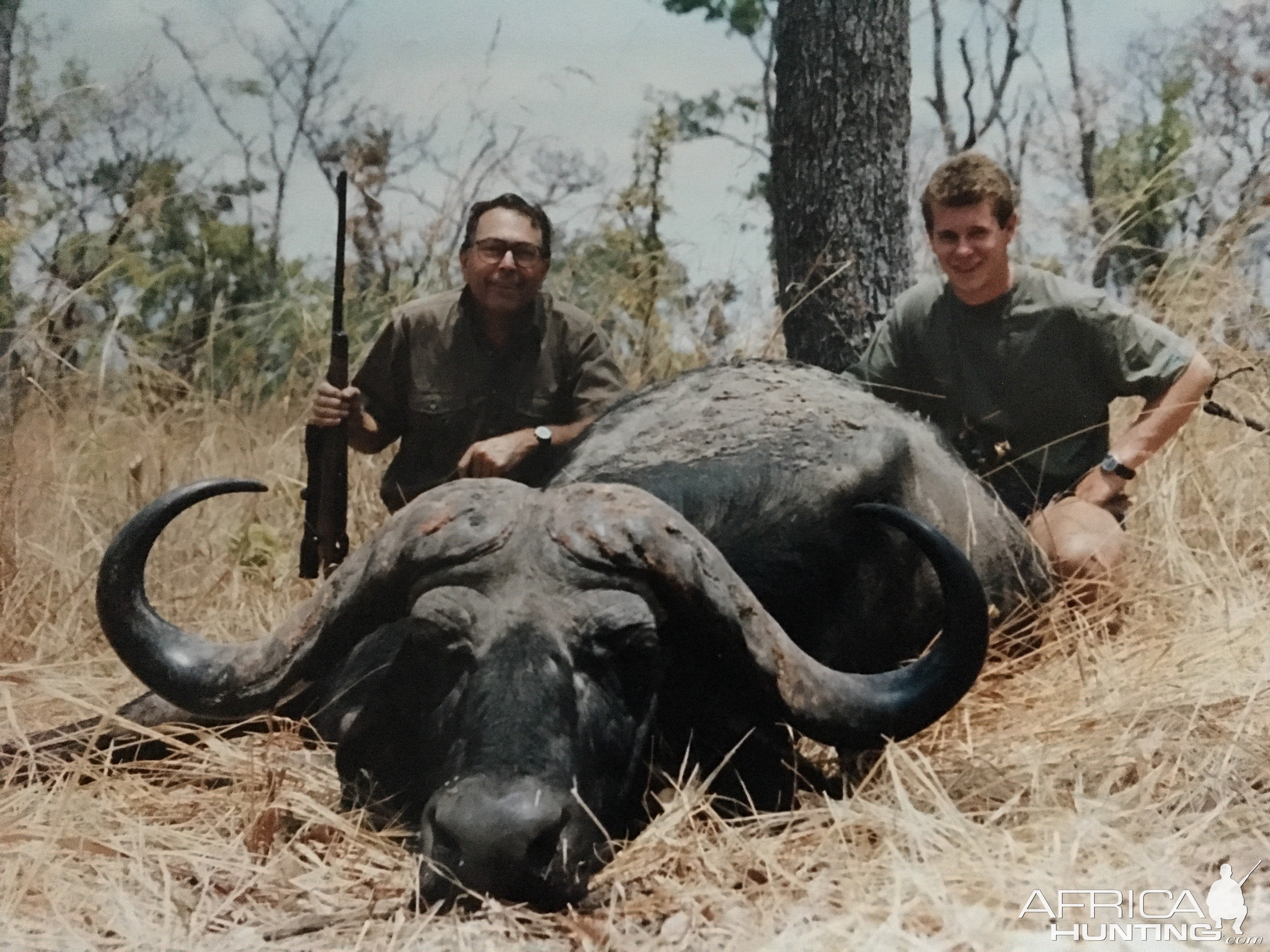 Cape Buffalo Hunting