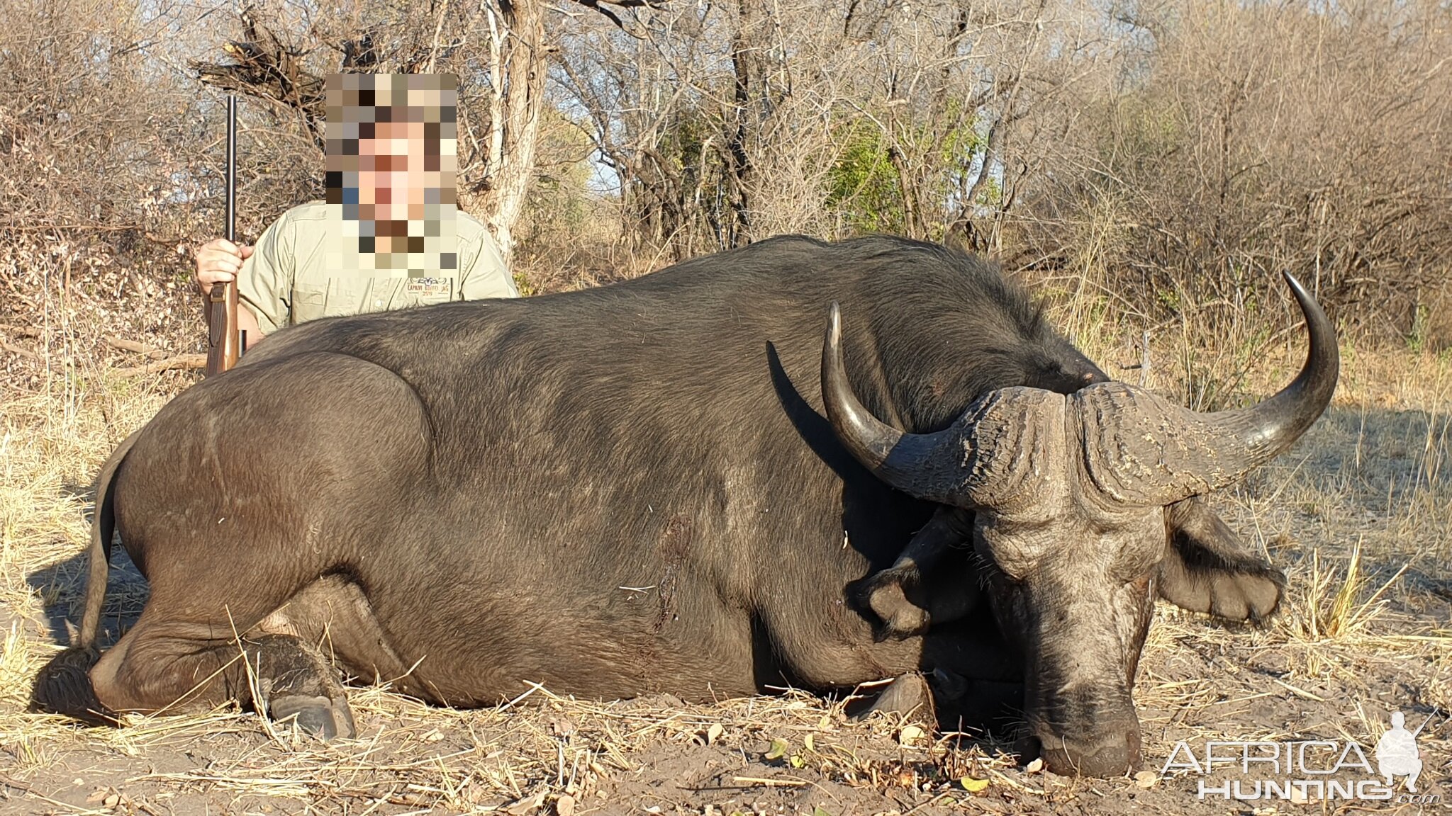 Cape Buffalo Non-exportable Hunt