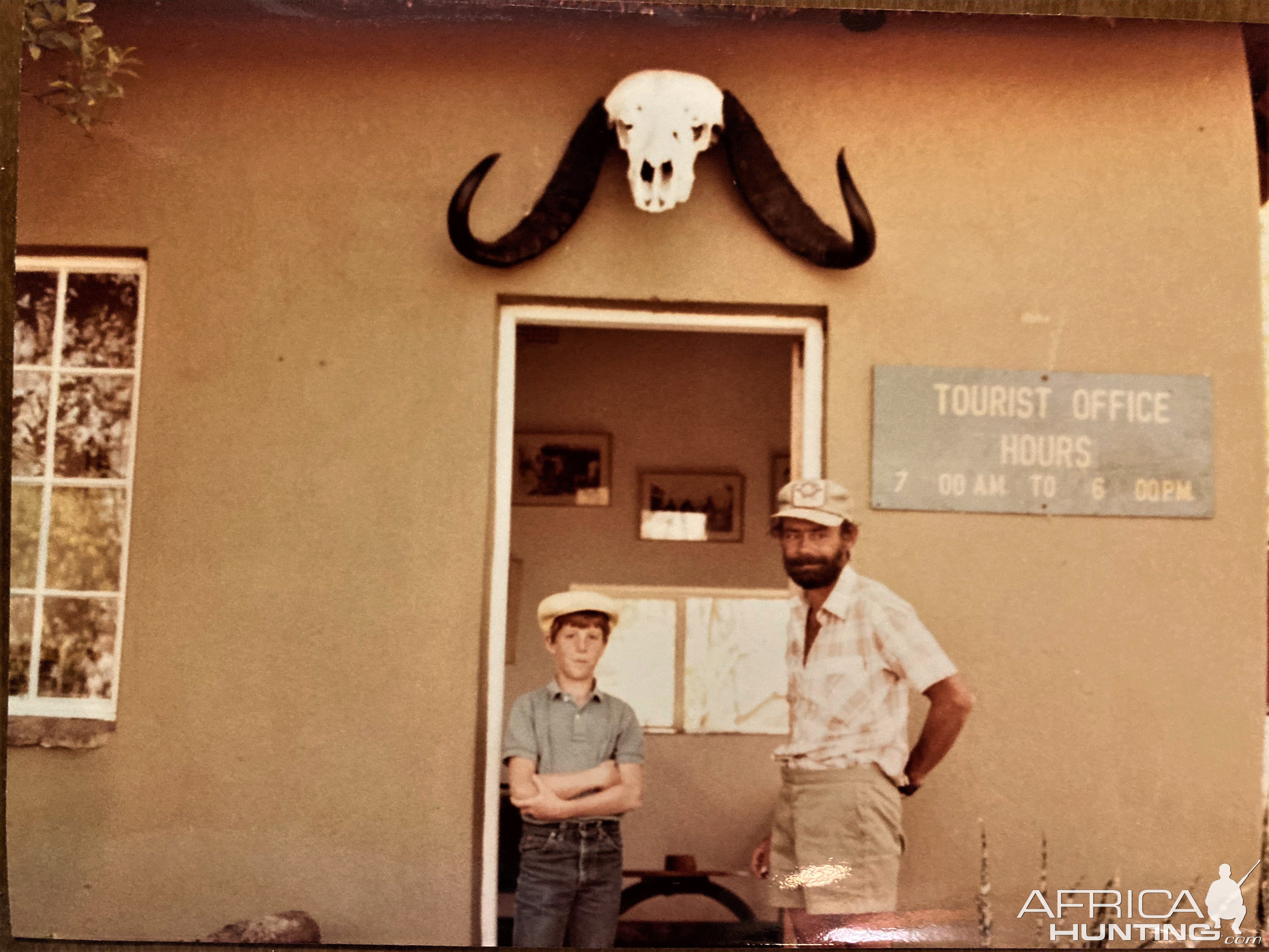 Cape Buffalo Skull Hwange National Park