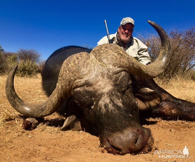 Cape Buffalo South Africa Hunt