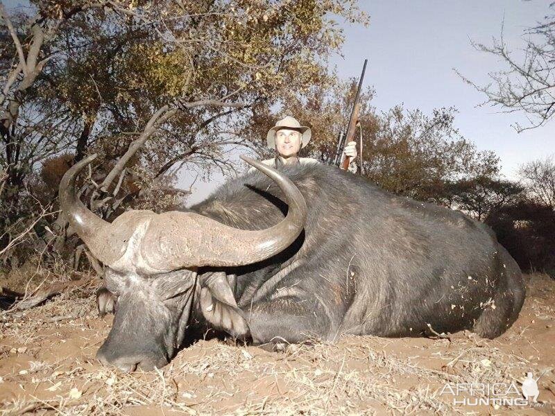 Cape Buffalo South Africa Hunt