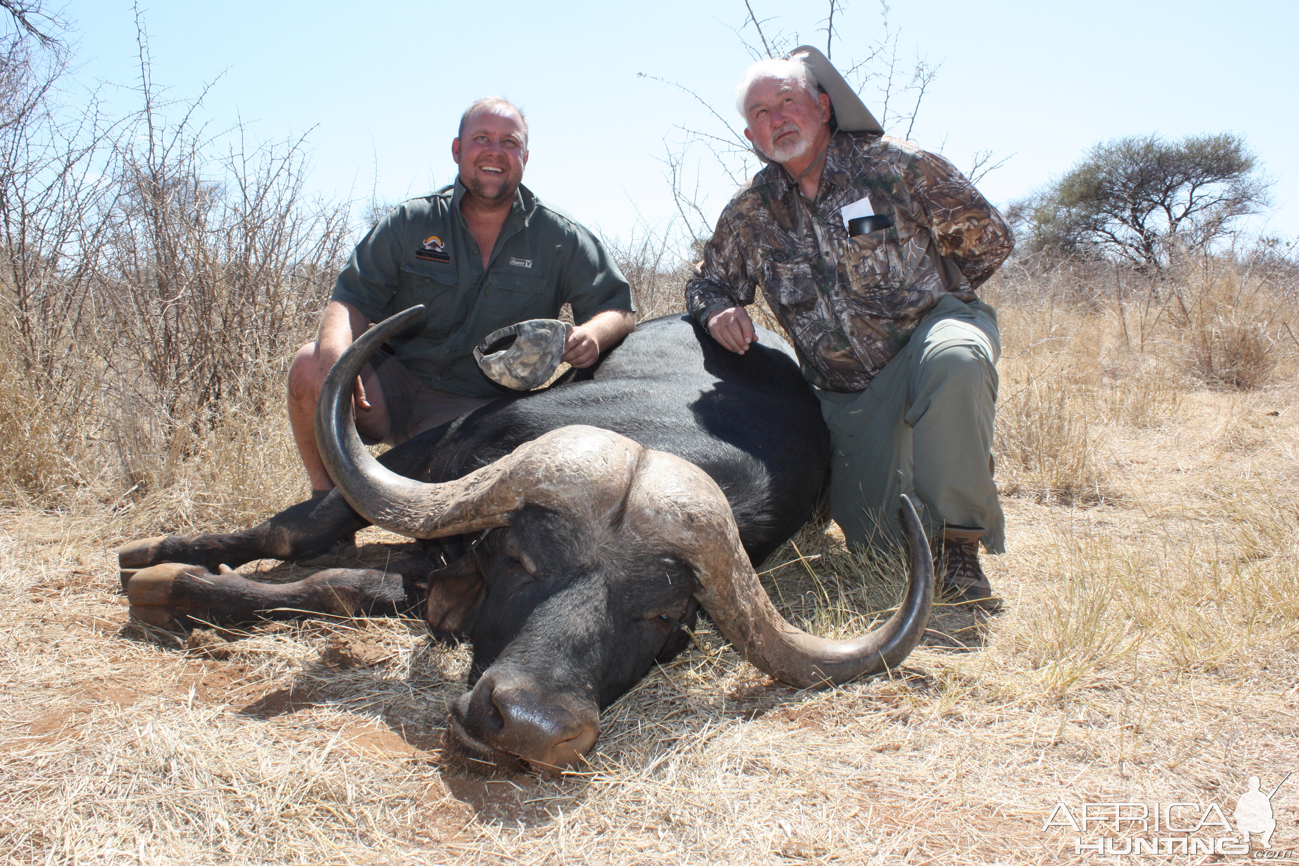 Cape Buffalo South Africa Hunt