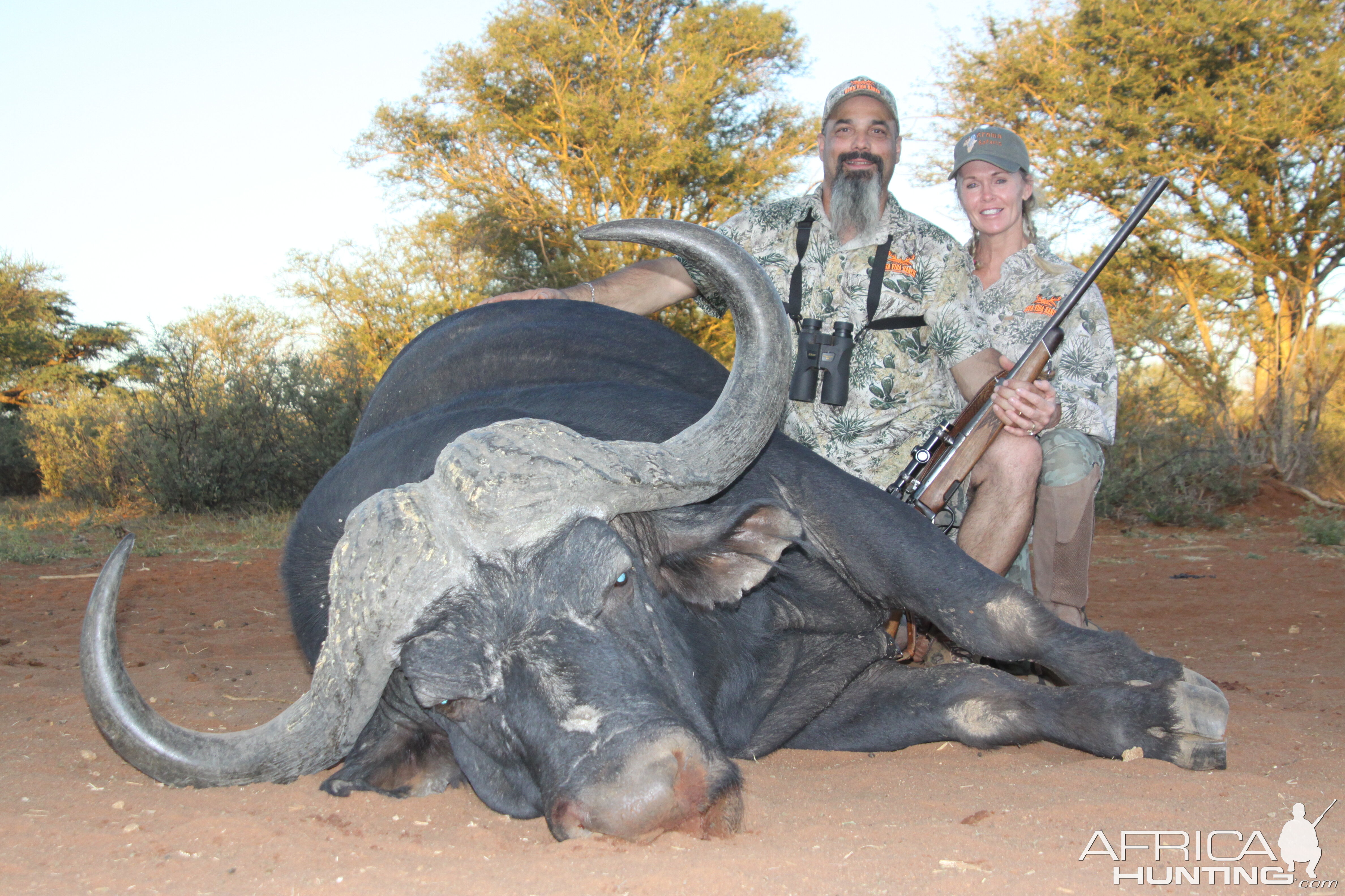 Cape Buffalo South Africa Hunting