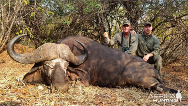 Cape Buffalo Tanzania Hunt