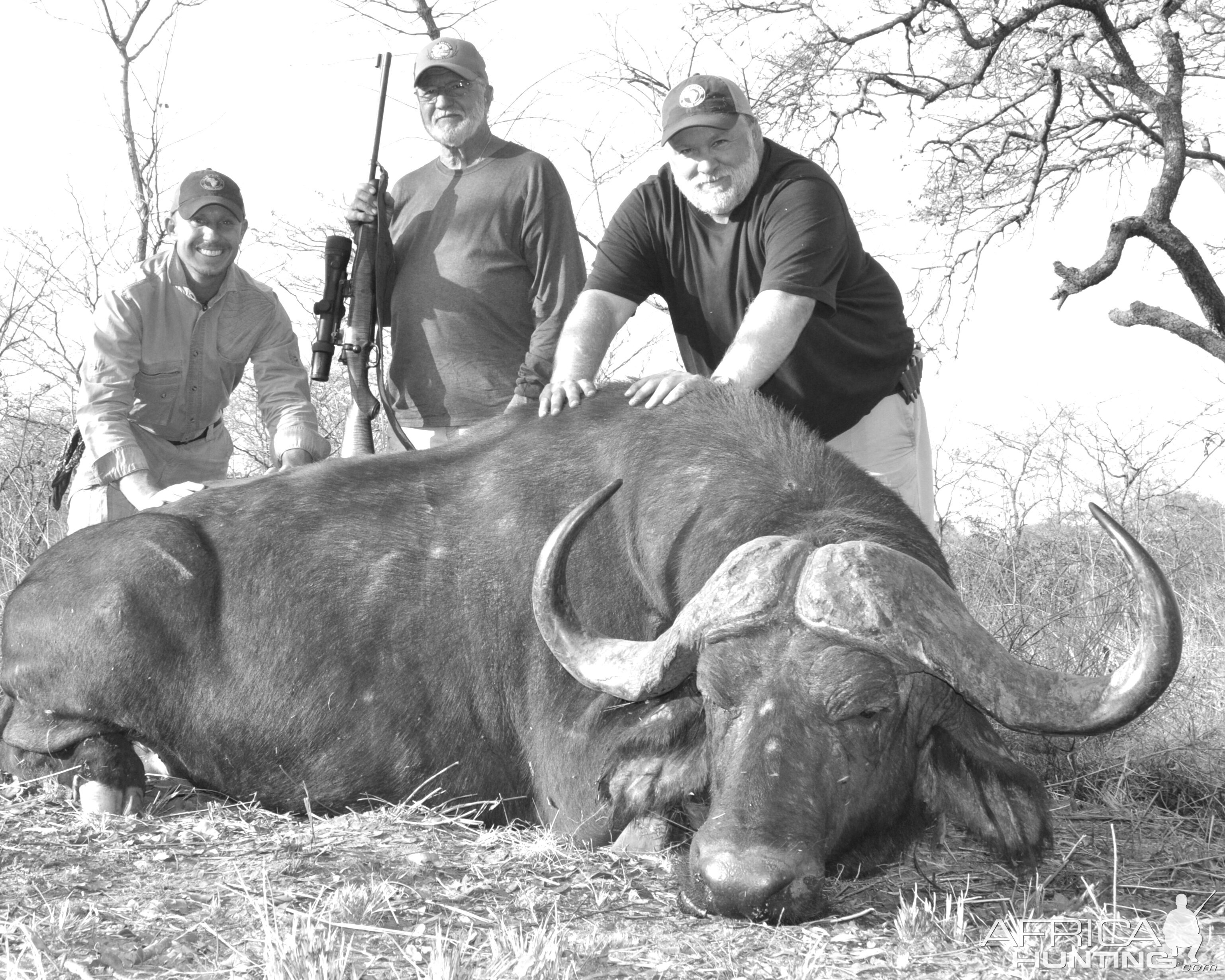 Cape Buffalo Tanzania Hunt