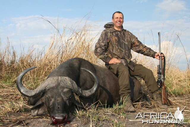 Cape Buffalo Tanzania