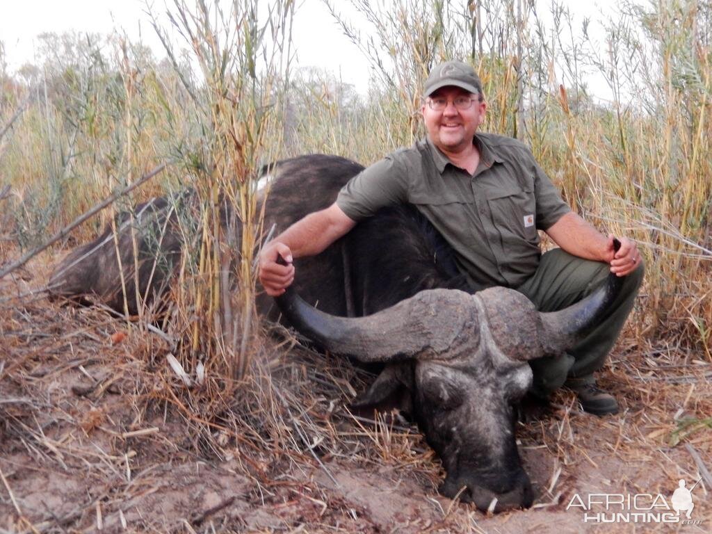 Cape Buffalo Zimbabwe Hunt | AfricaHunting.com