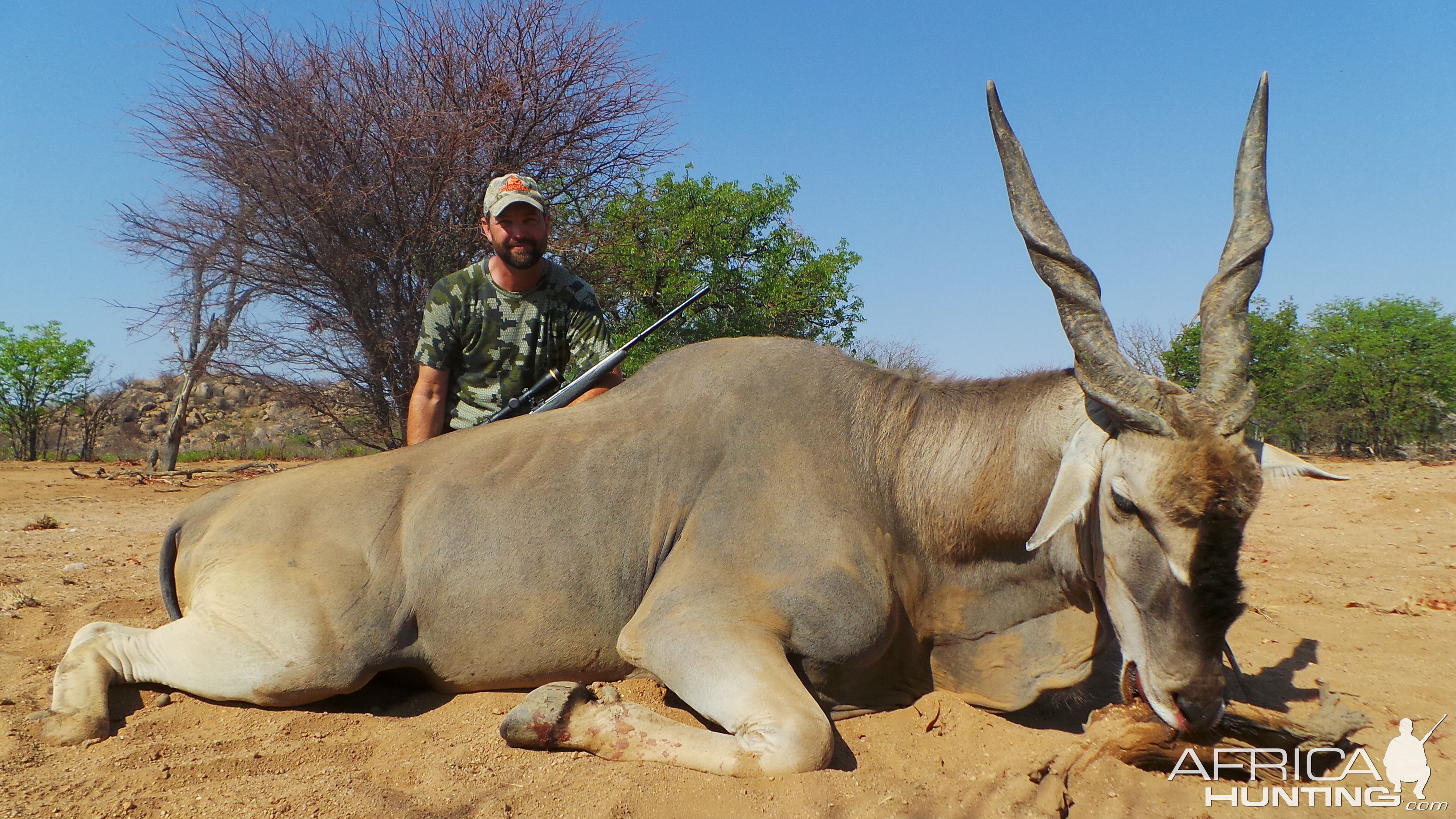 Cape Eland Hunt Namibia