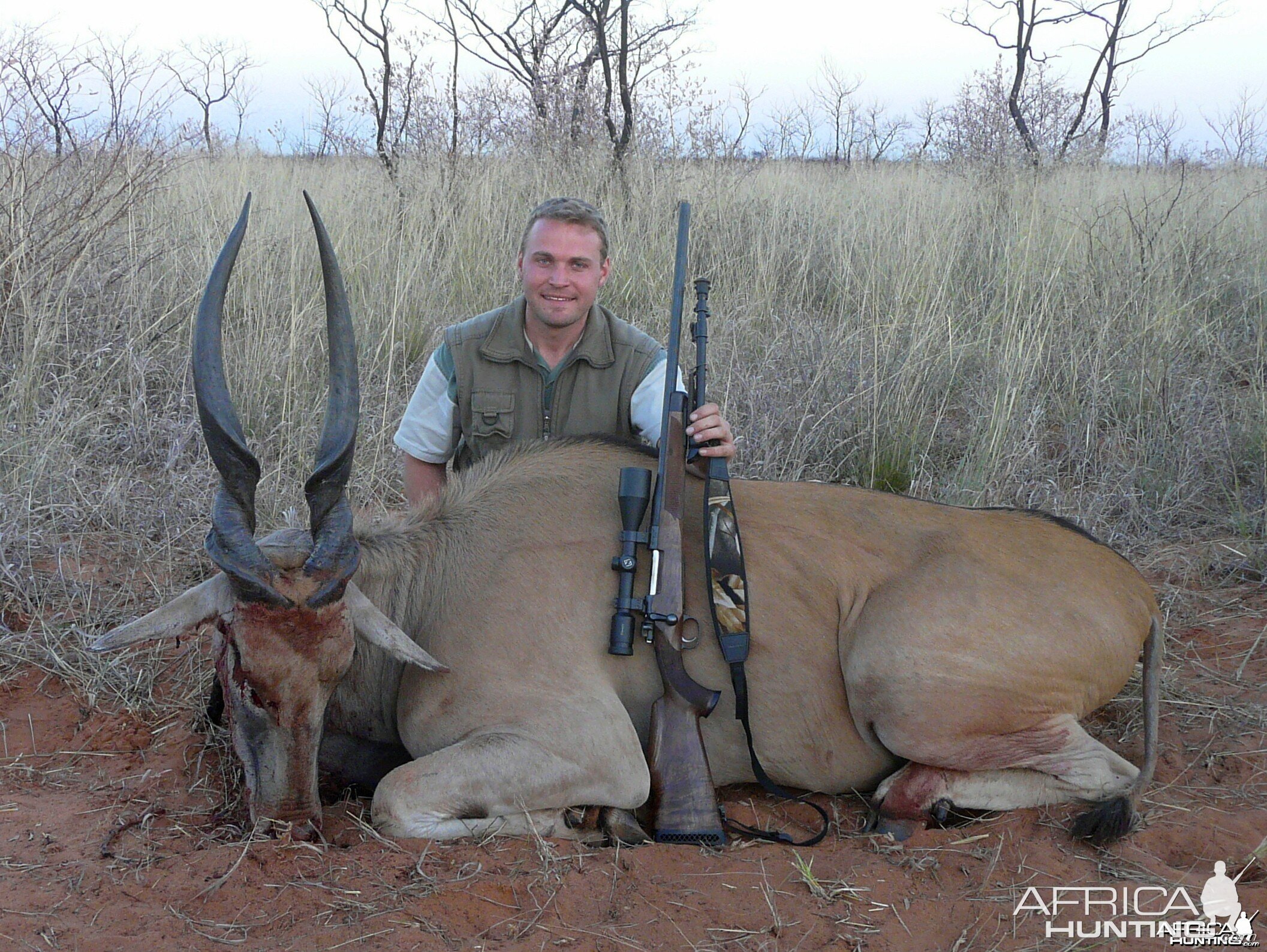 Cape Eland hunted in Namibia, Grootfontein, by Charl Kemp