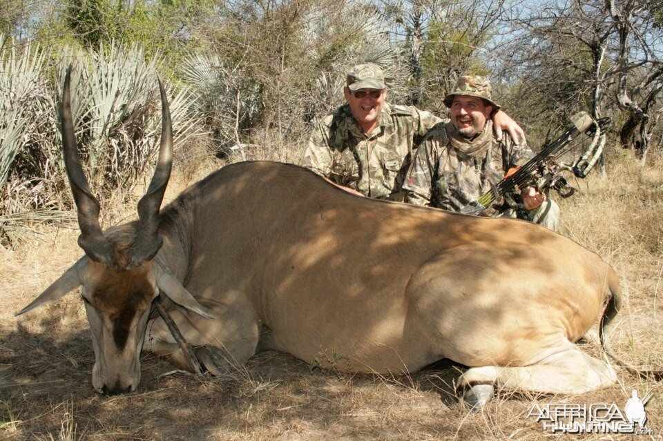 Cape Eland