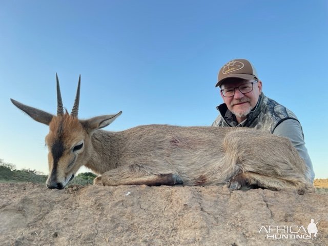 Cape Grey Duiker Hunt