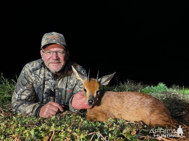 Cape Grysbok Hunt