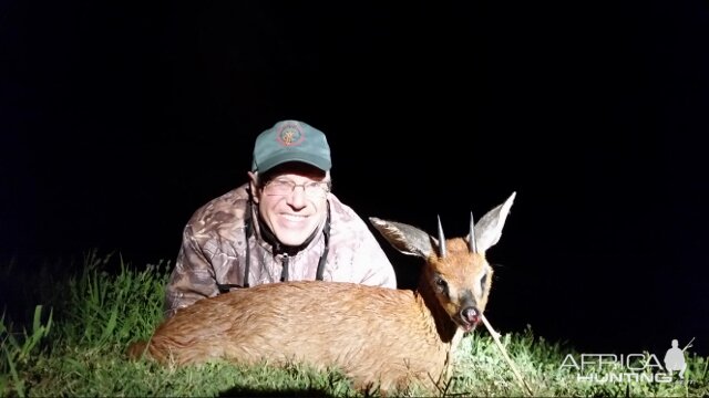 Cape Grysbok Hunting South Africa