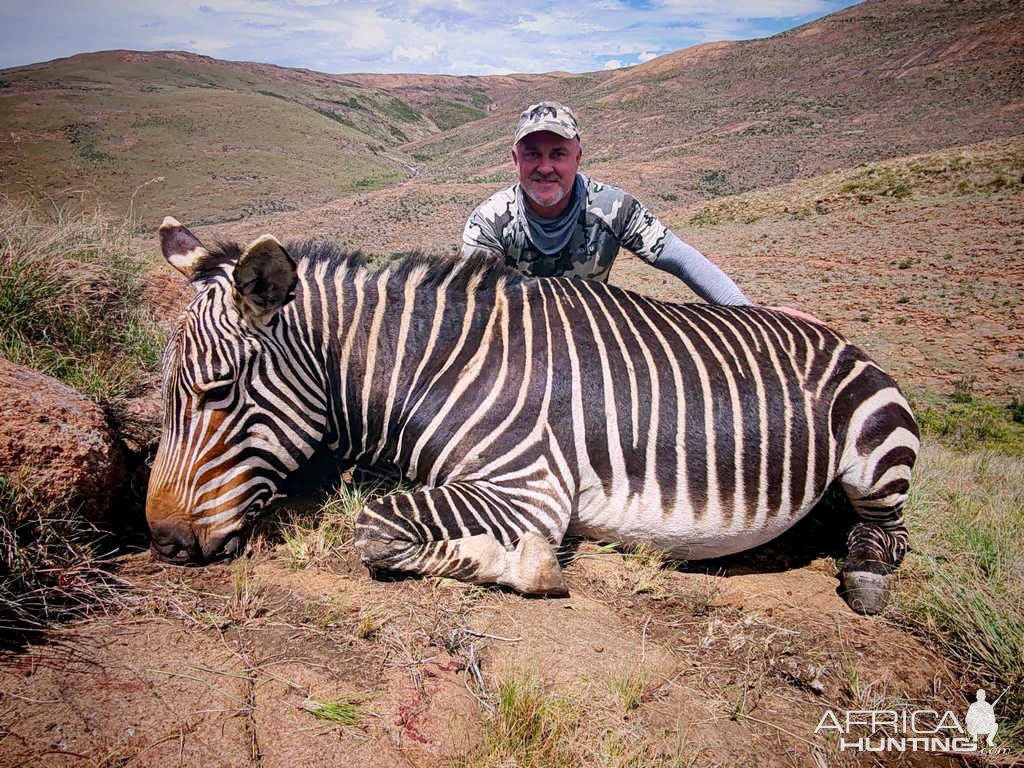 Cape Mountain Zebra Hunt Eastern Cape South Africa