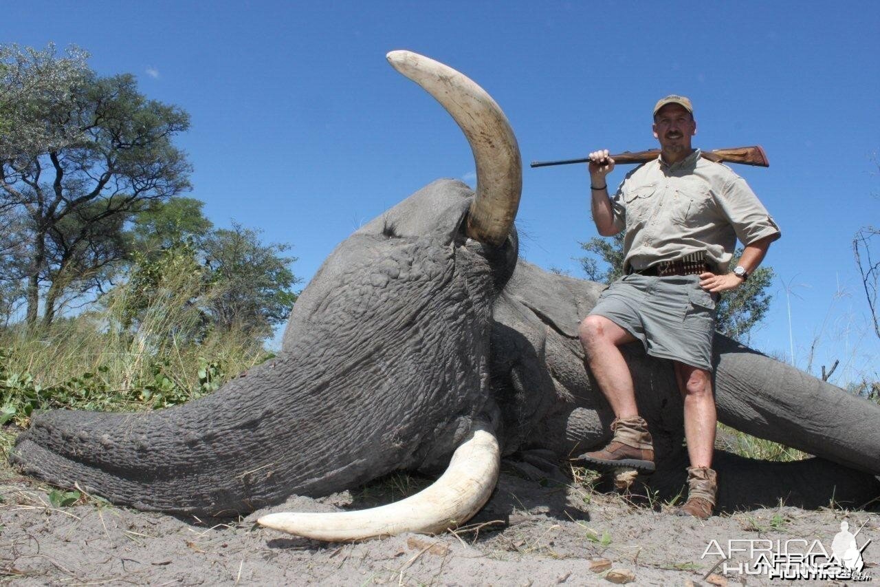 Caprivi Elephant