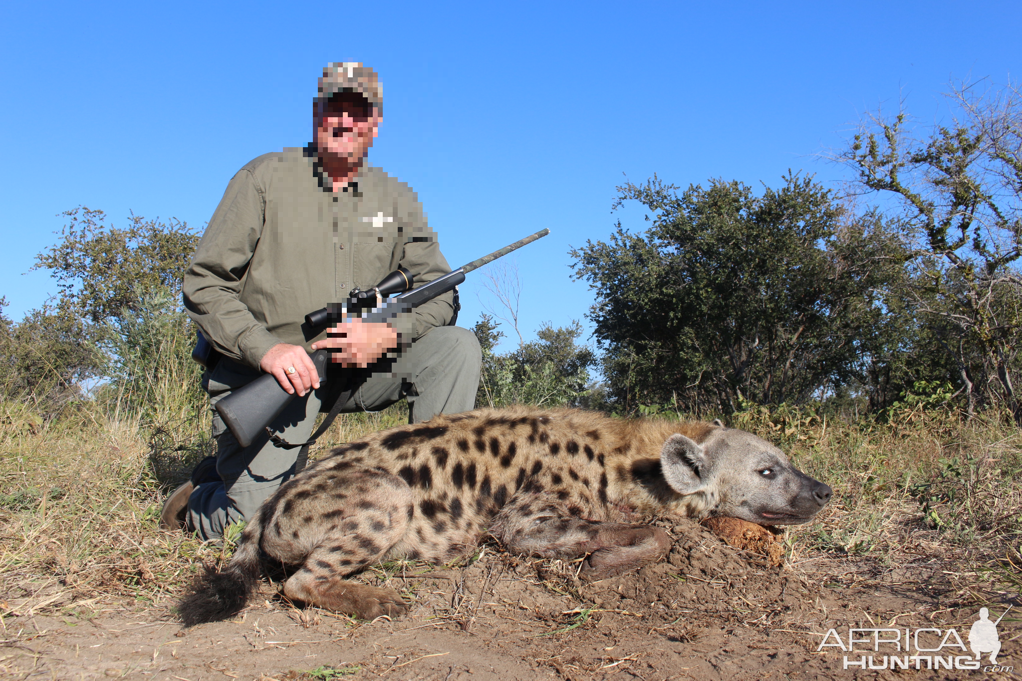 caprivi hyena