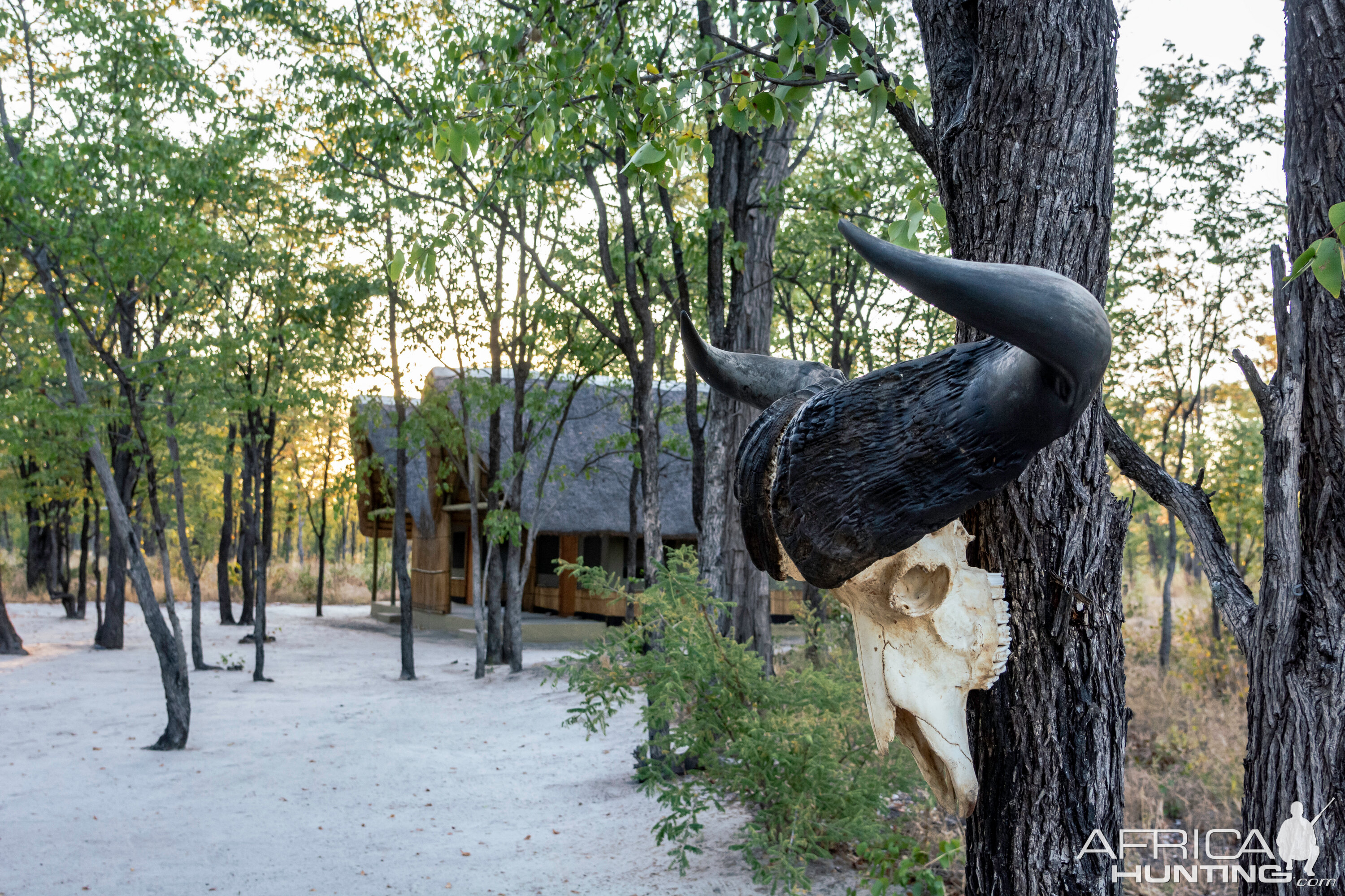 Caprivi Namibia Hunting Lodge