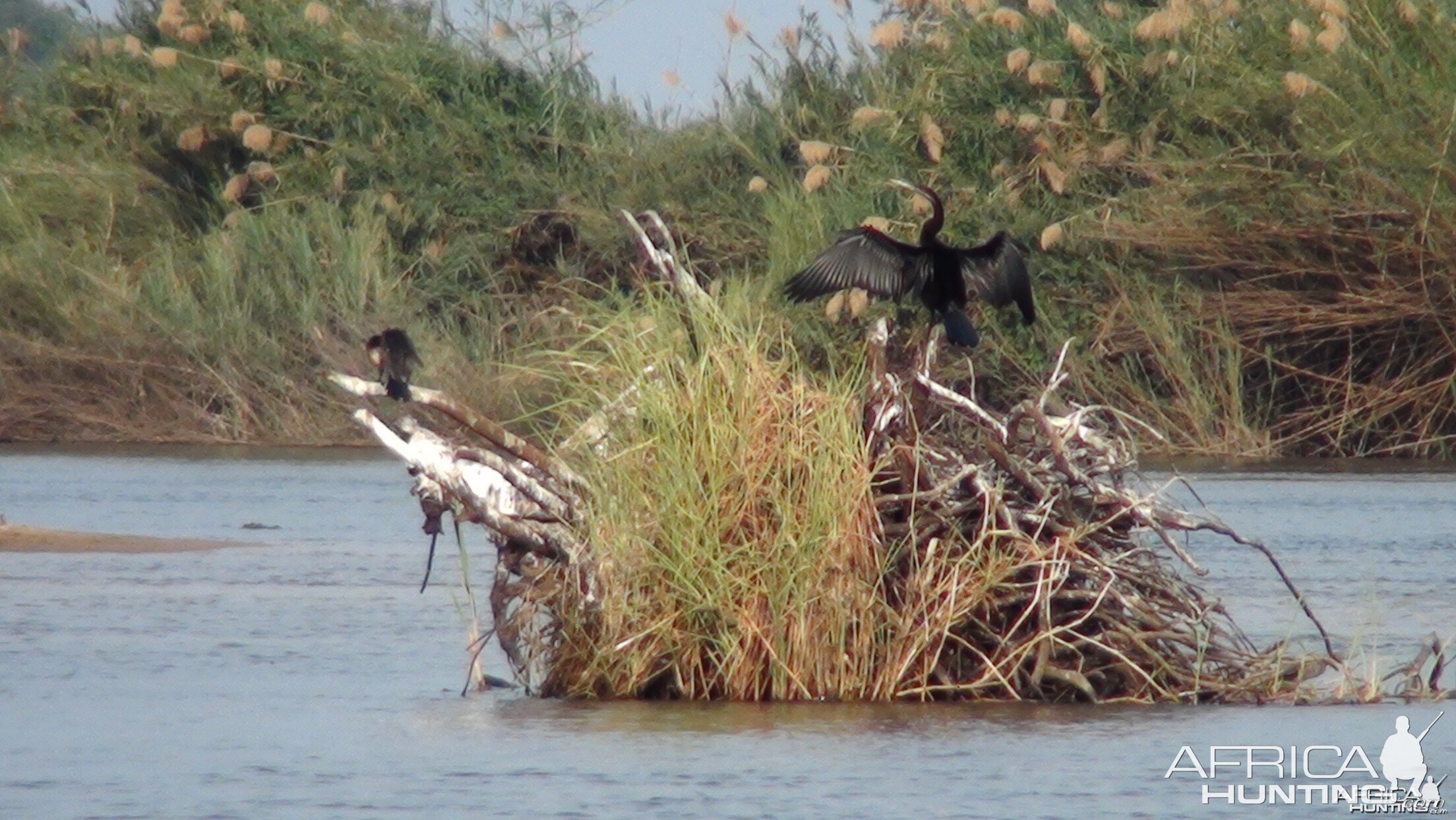 Caprivi Namibia