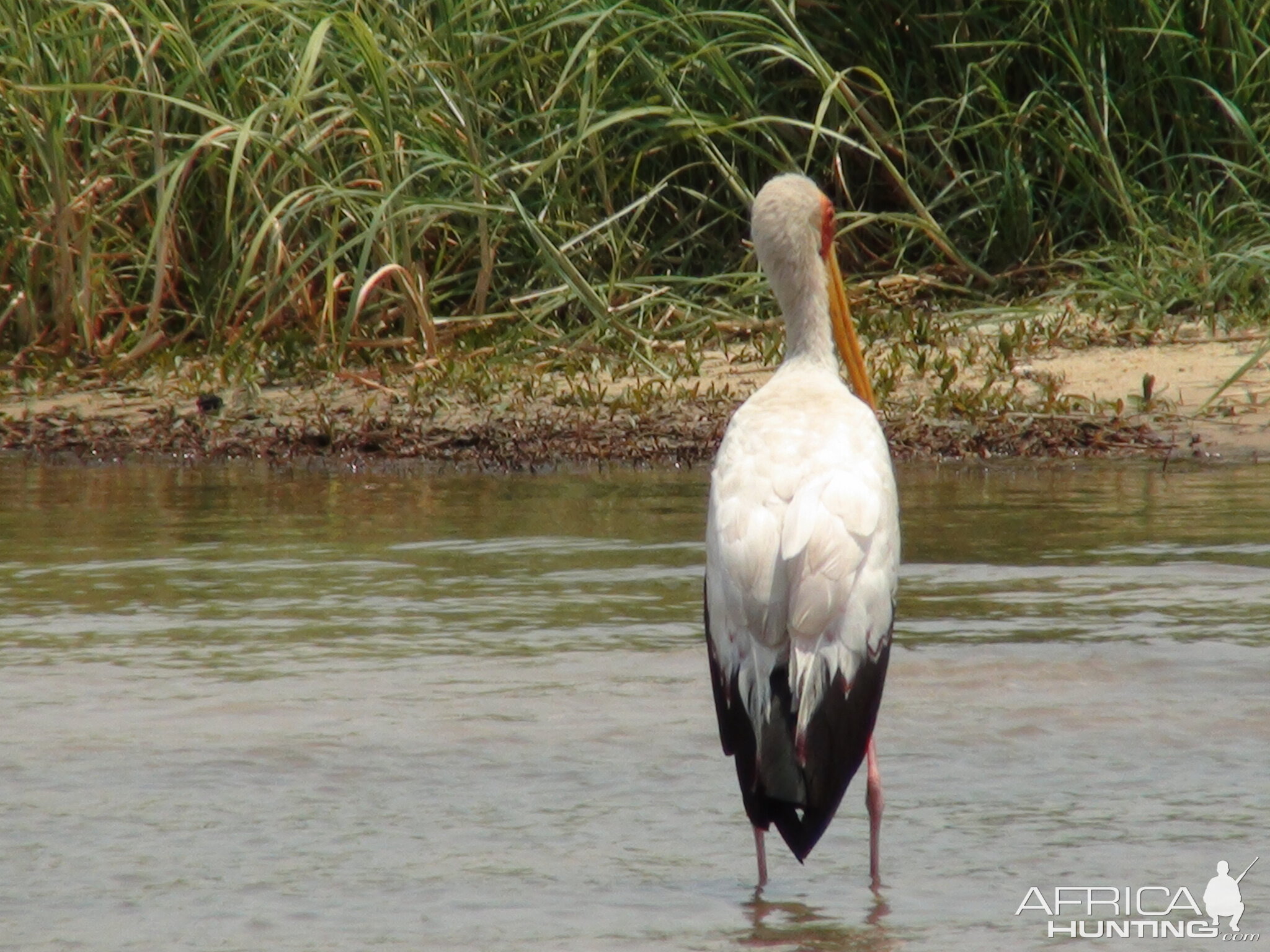 Caprivi Namibia