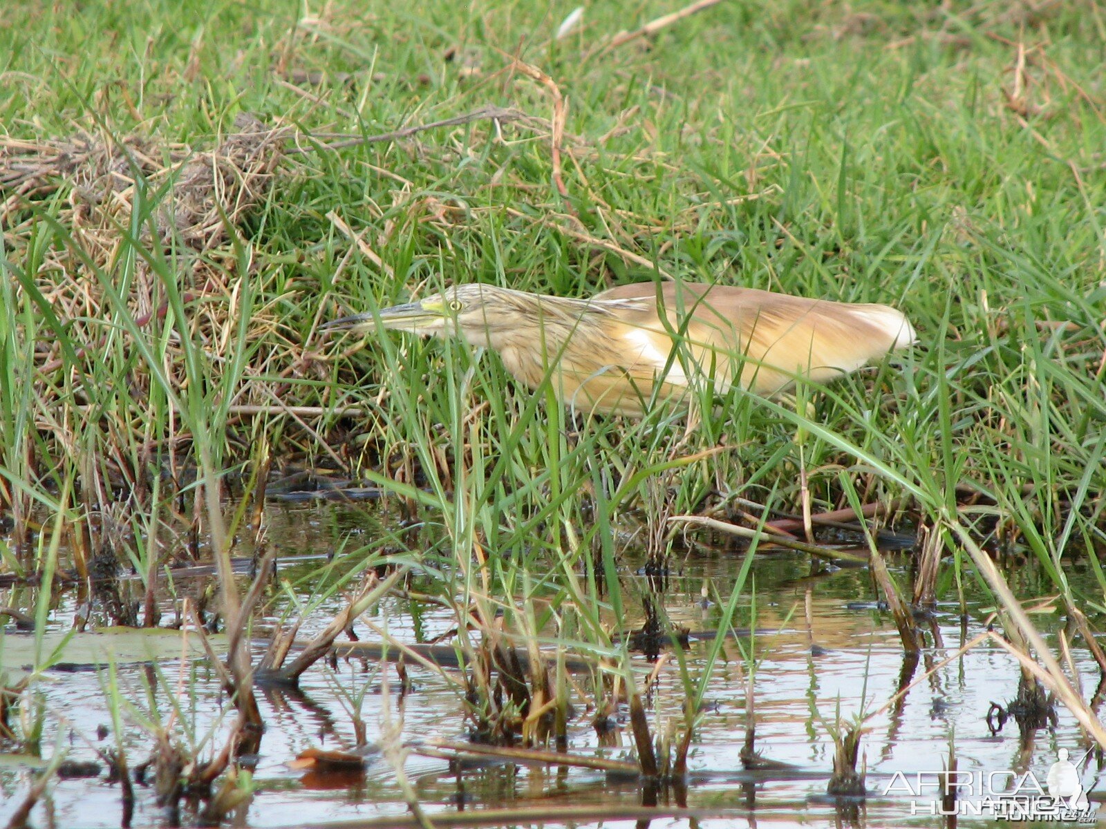 Caprivi Namibia