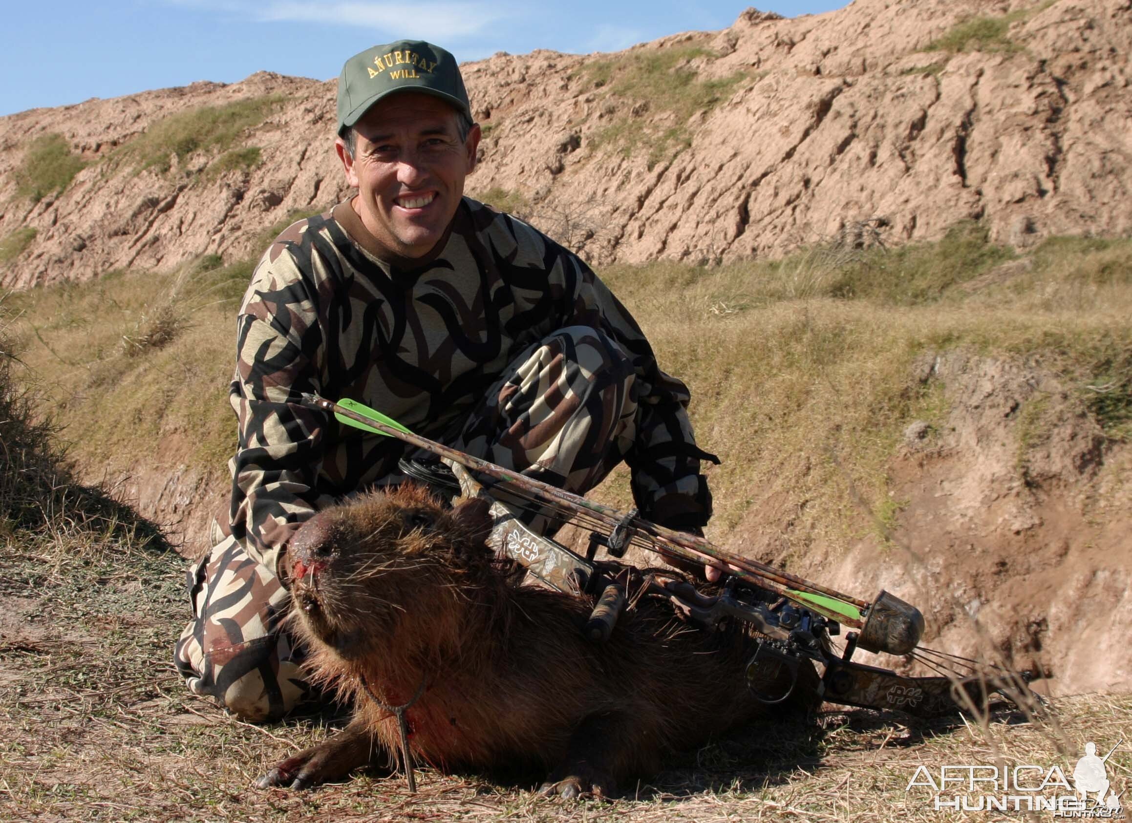 Capybara-Argentina