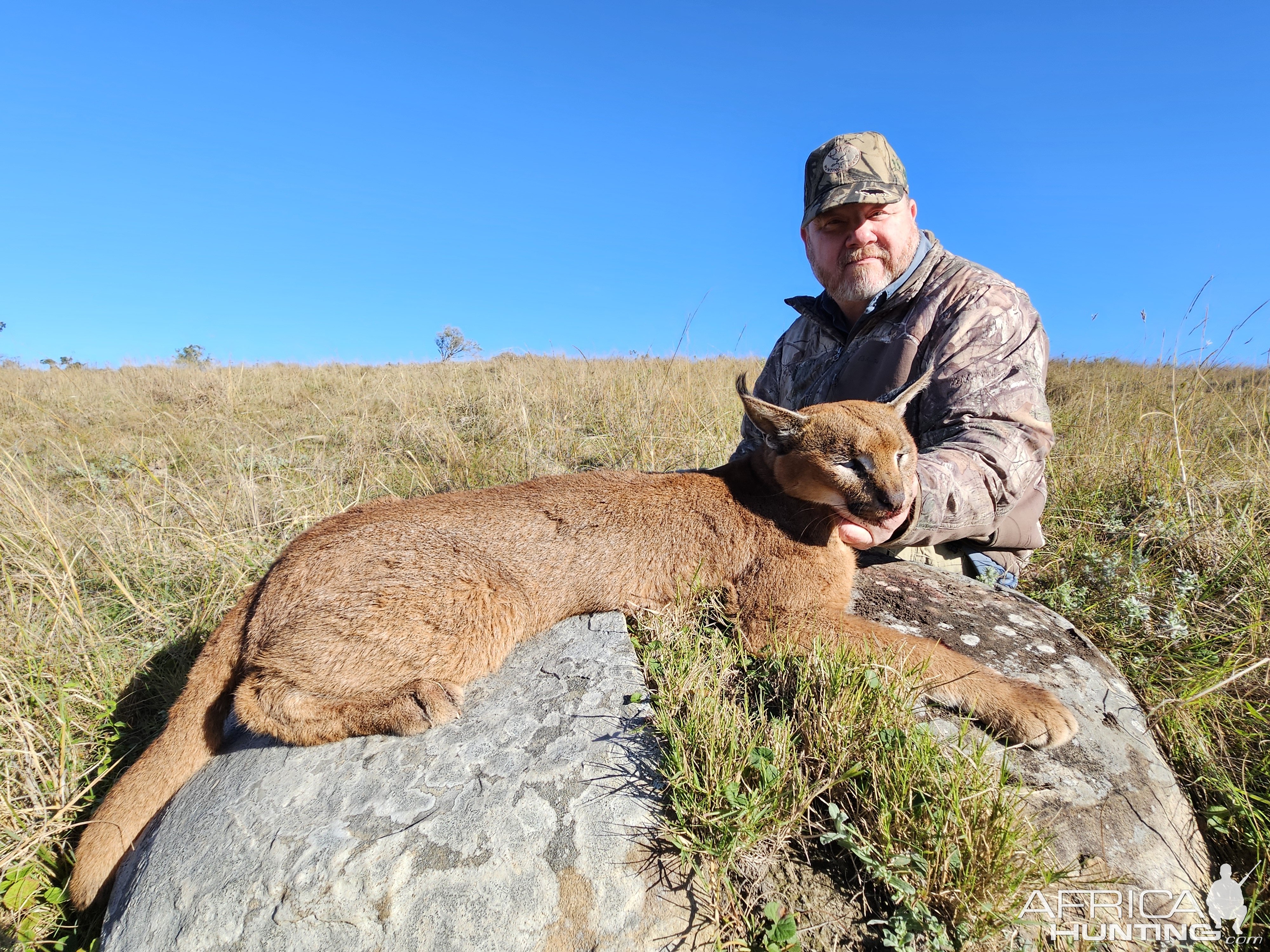 Caracal Hunt East London South Africa