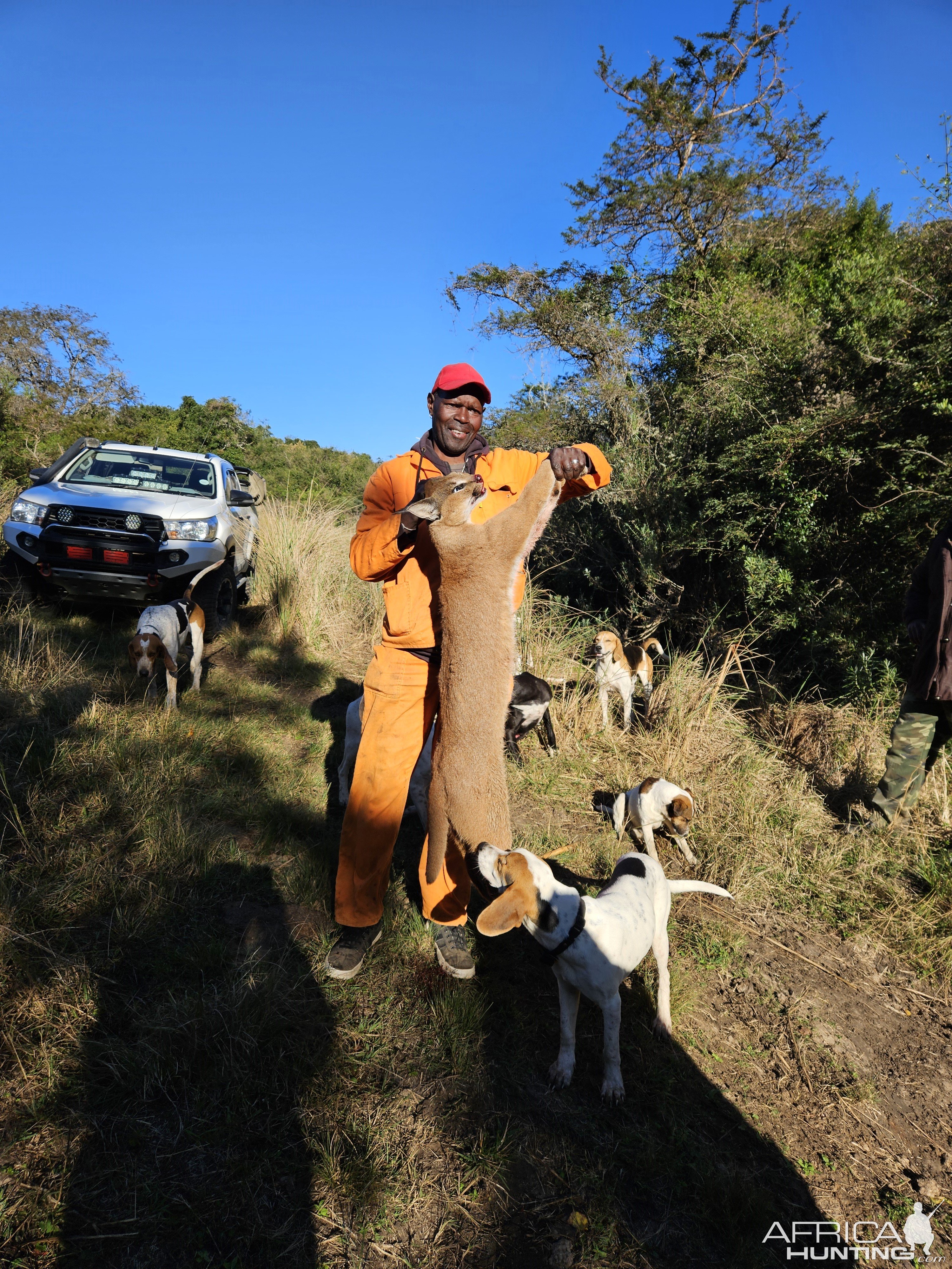 Caracal Hunt East London South Africa