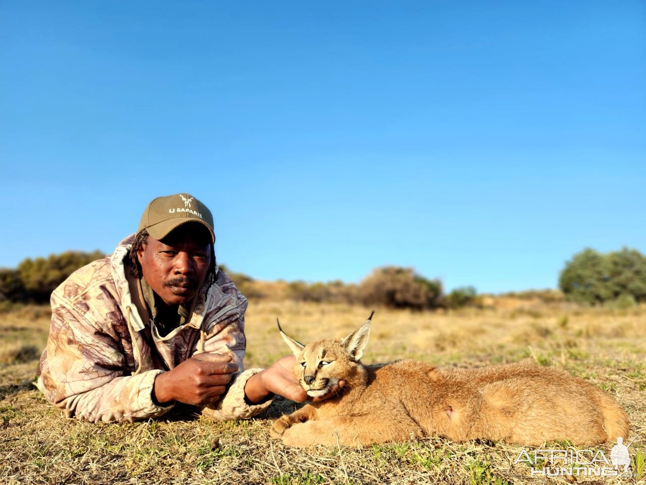 Caracal Hunt Eastern Cape South Africa