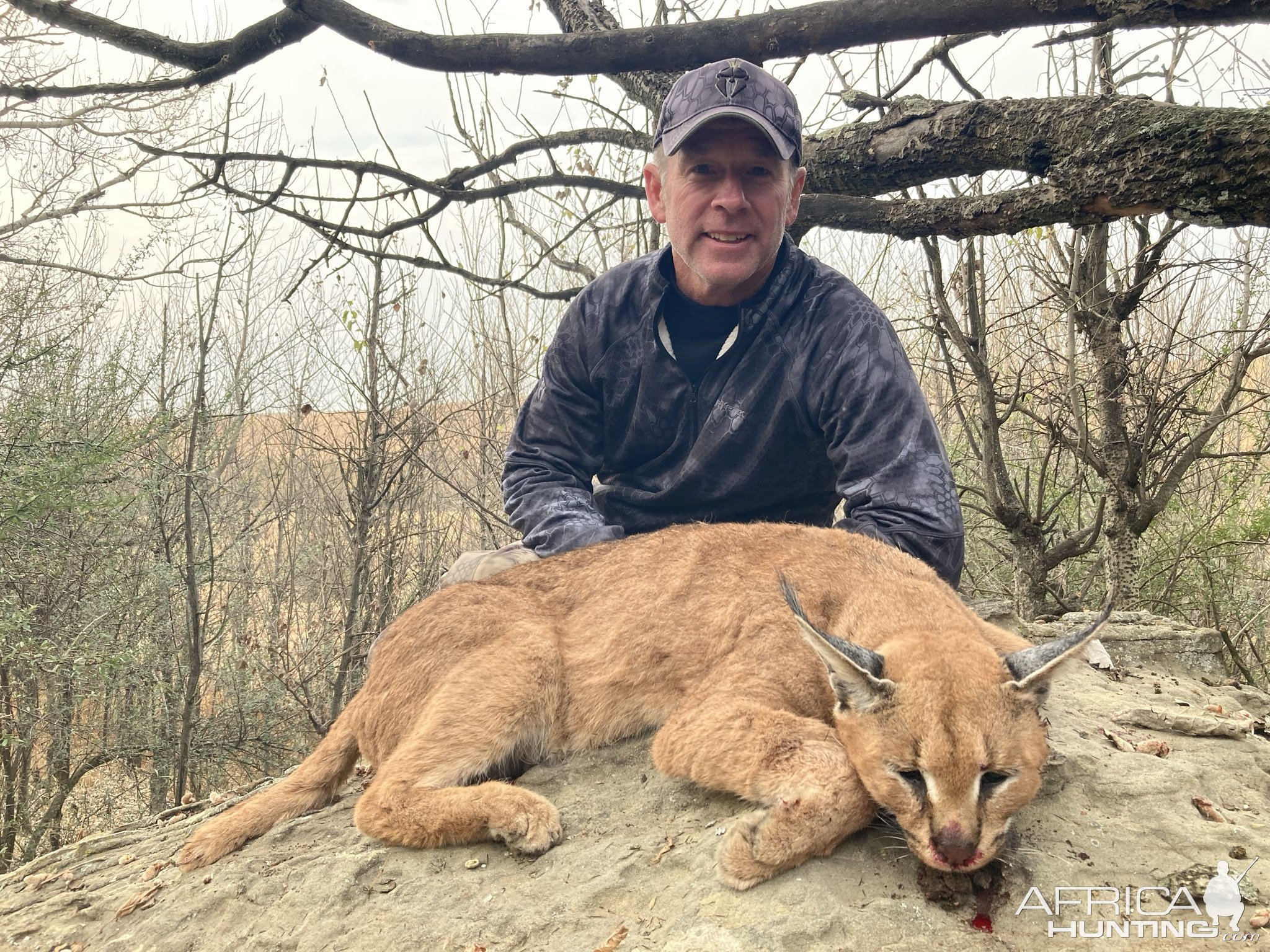 Caracal Hunt South Africa