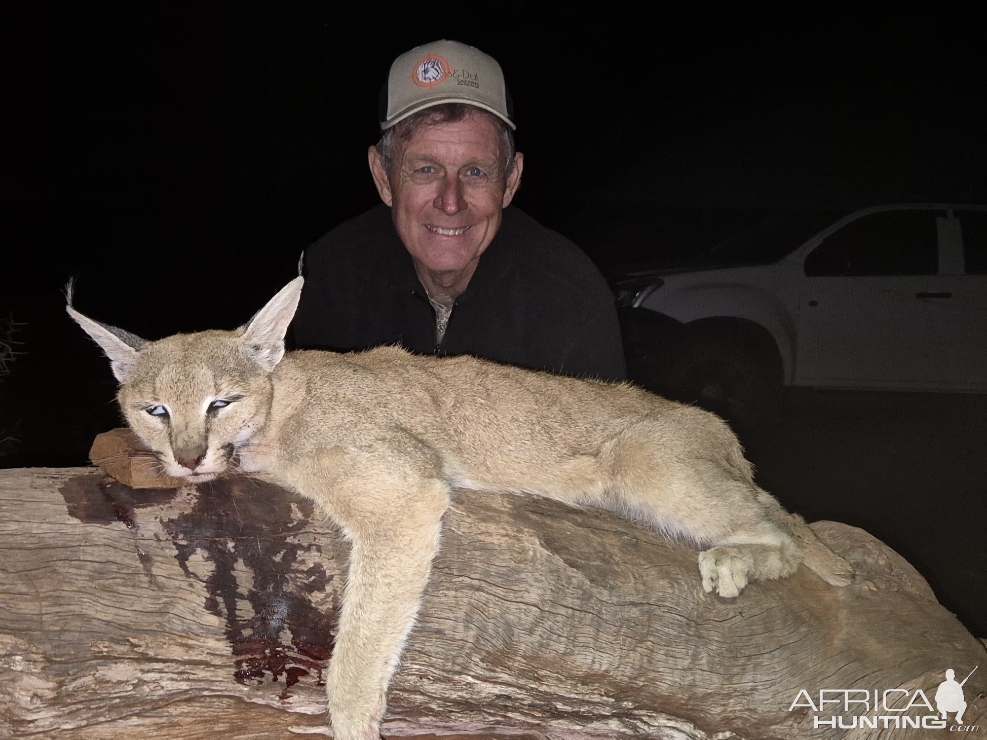 Caracal Hunt South Africa