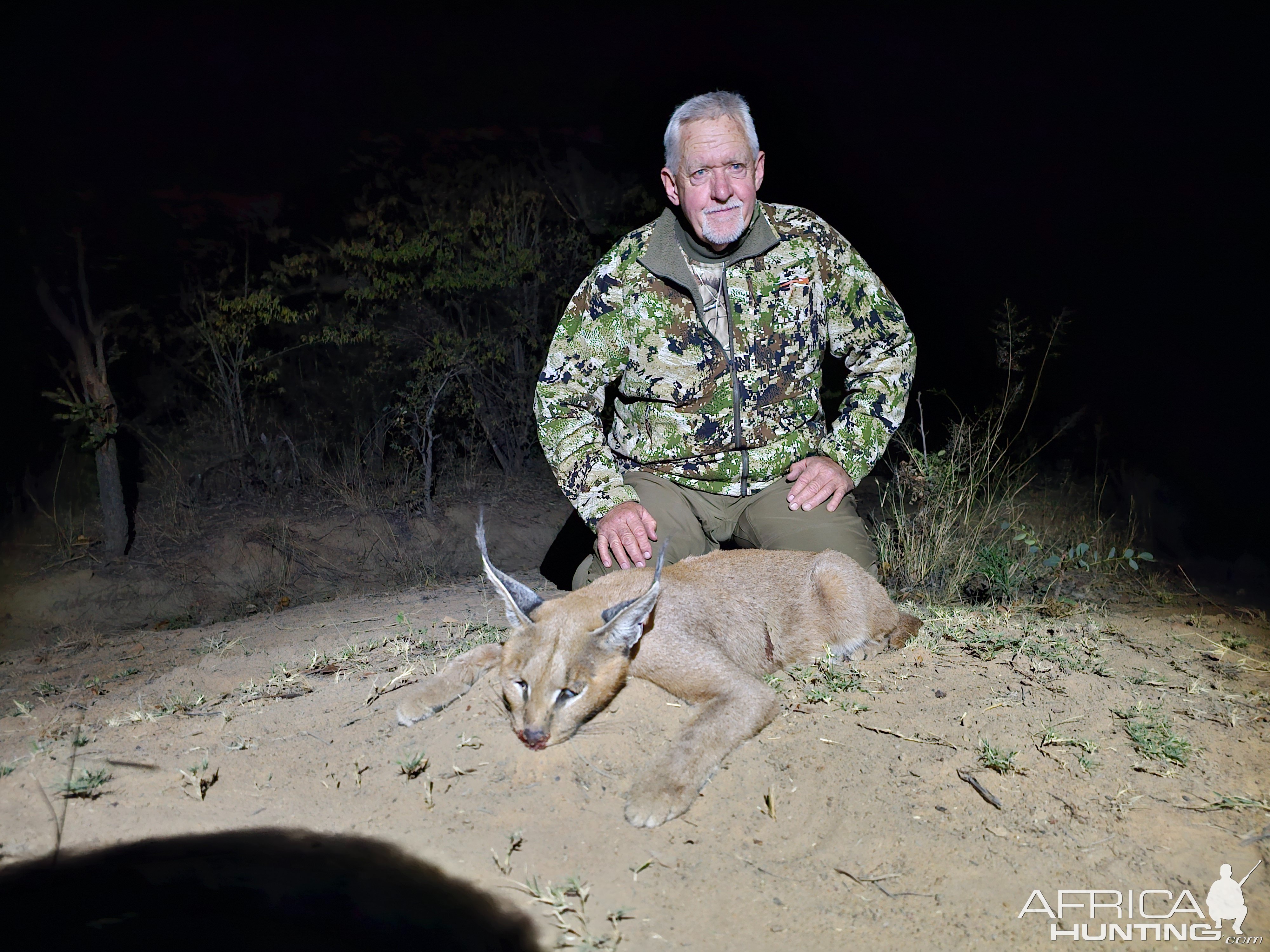 Caracal Hunt South Africa