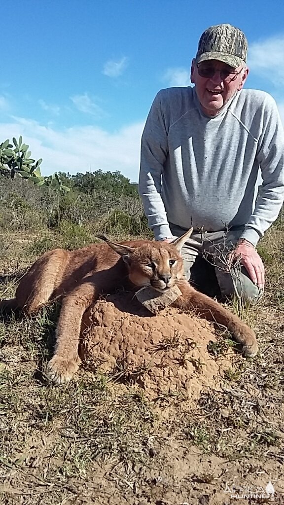 Caracal Hunt South Africa