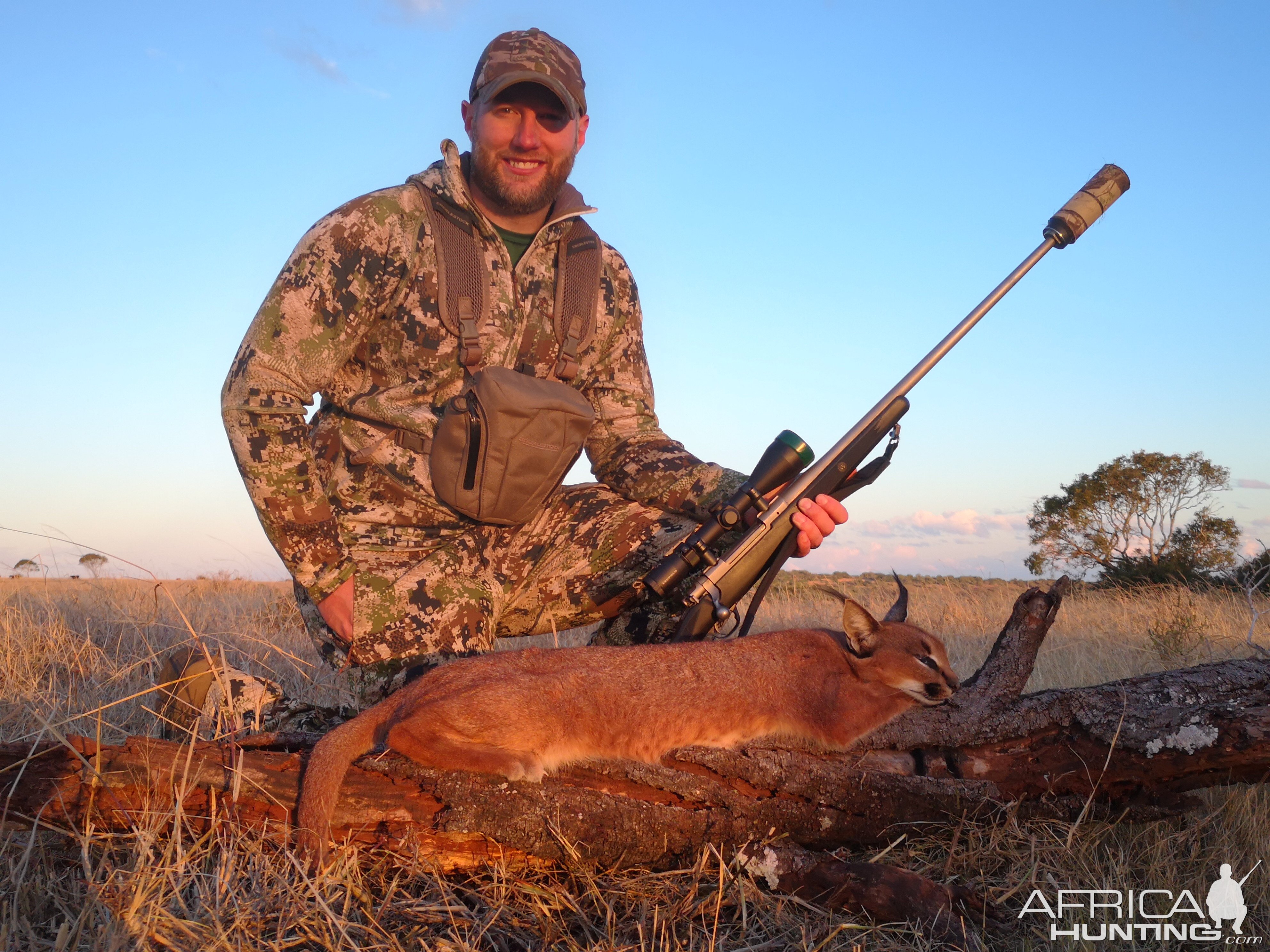 Caracal Hunt South Africa