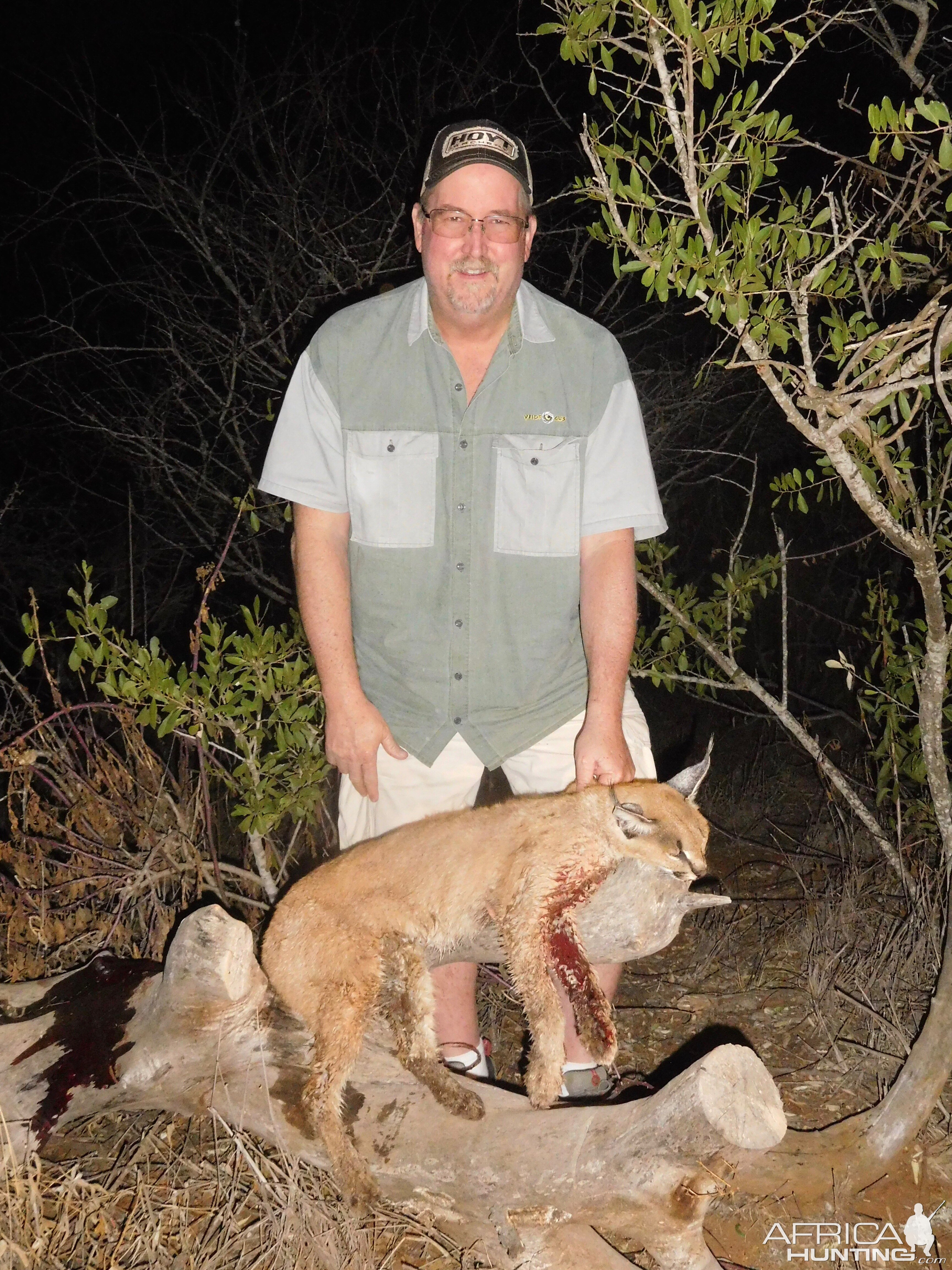 Caracal Hunt South Africa