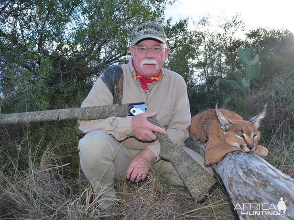 Caracal Hunt South Africa