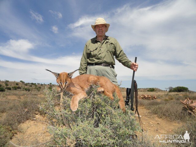 Caracal Hunt