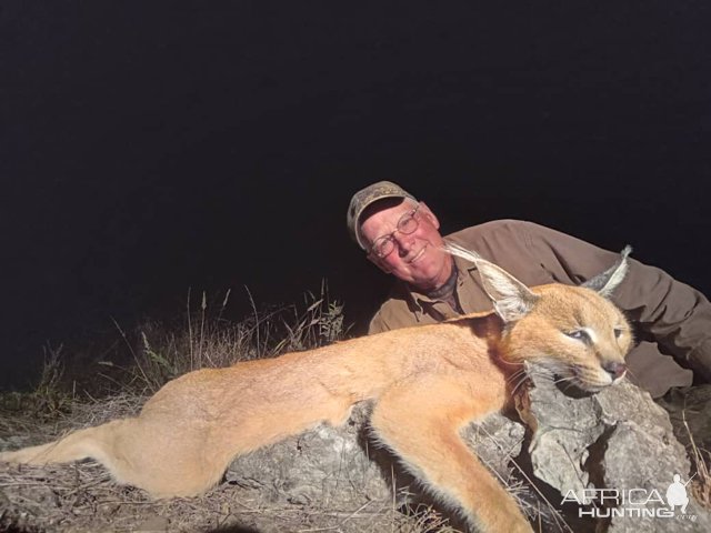 Caracal Hunting Botswana