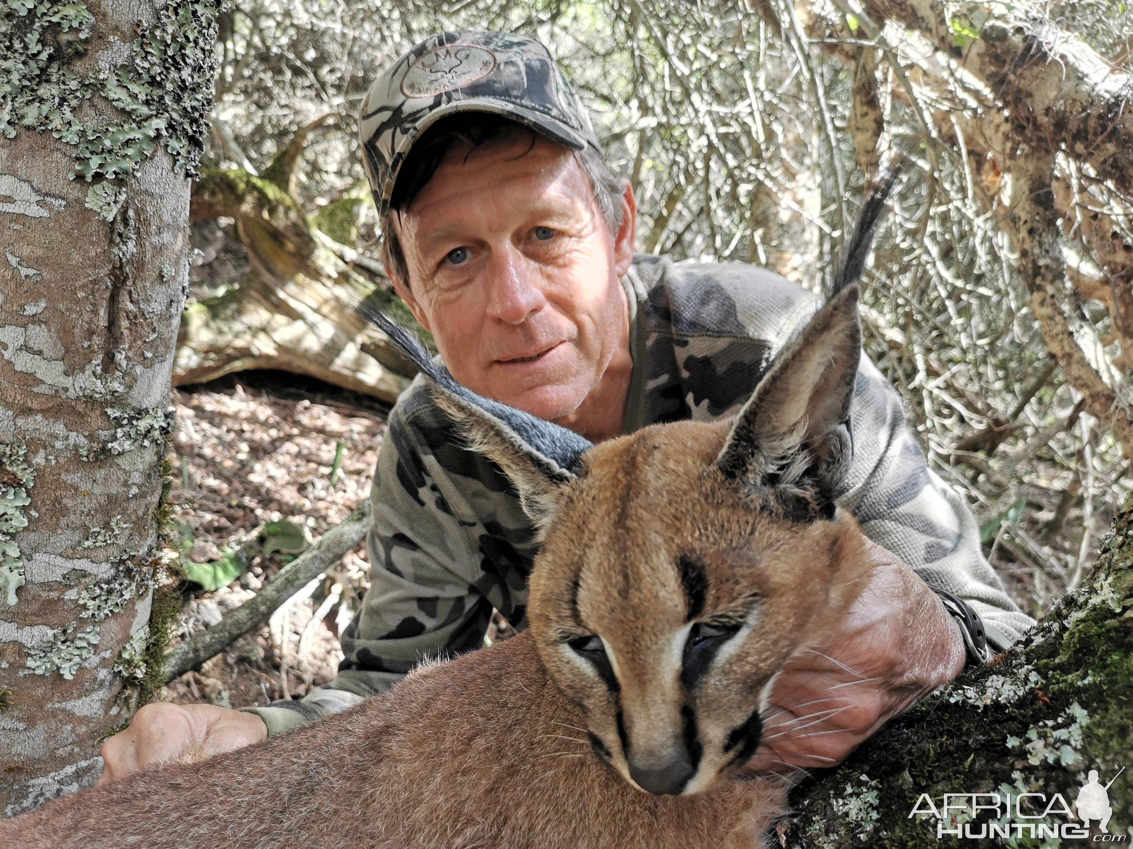 Caracal Hunting Eastern Cape South Africa