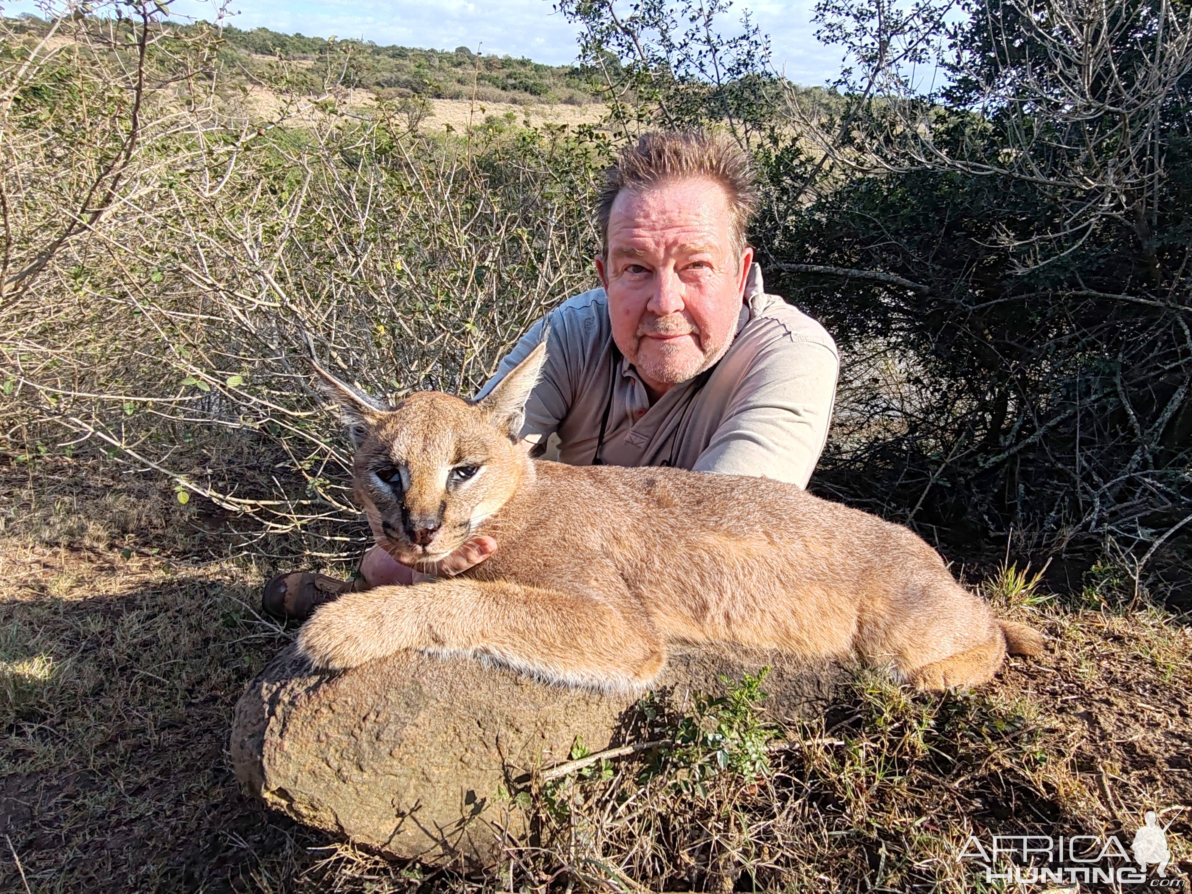 Caracal Hunting Eastern Cape South Africa