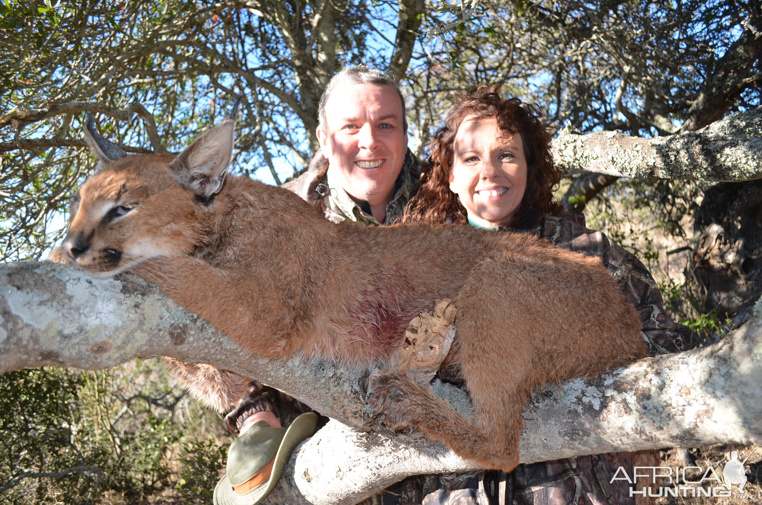 Caracal Hunting South Africa