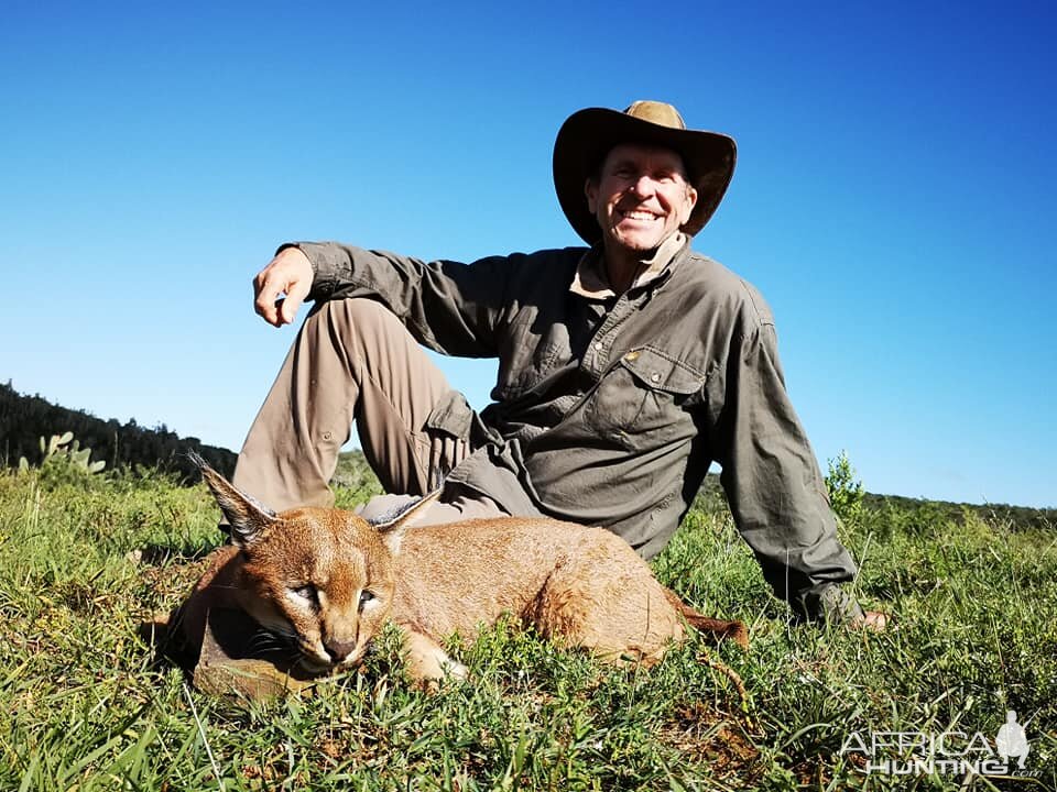 Caracal Hunting South Africa