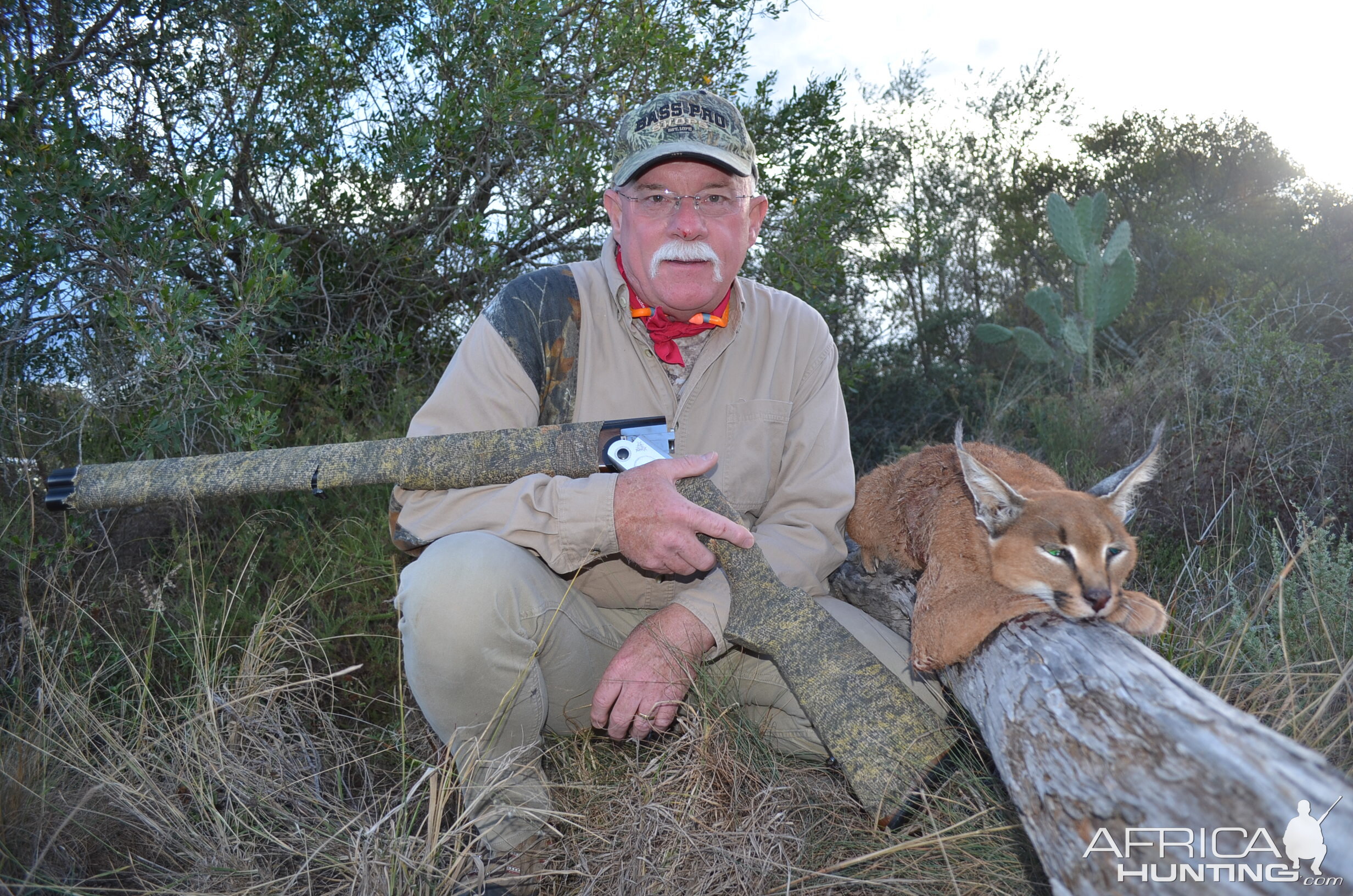 Caracal Hunting South Africa