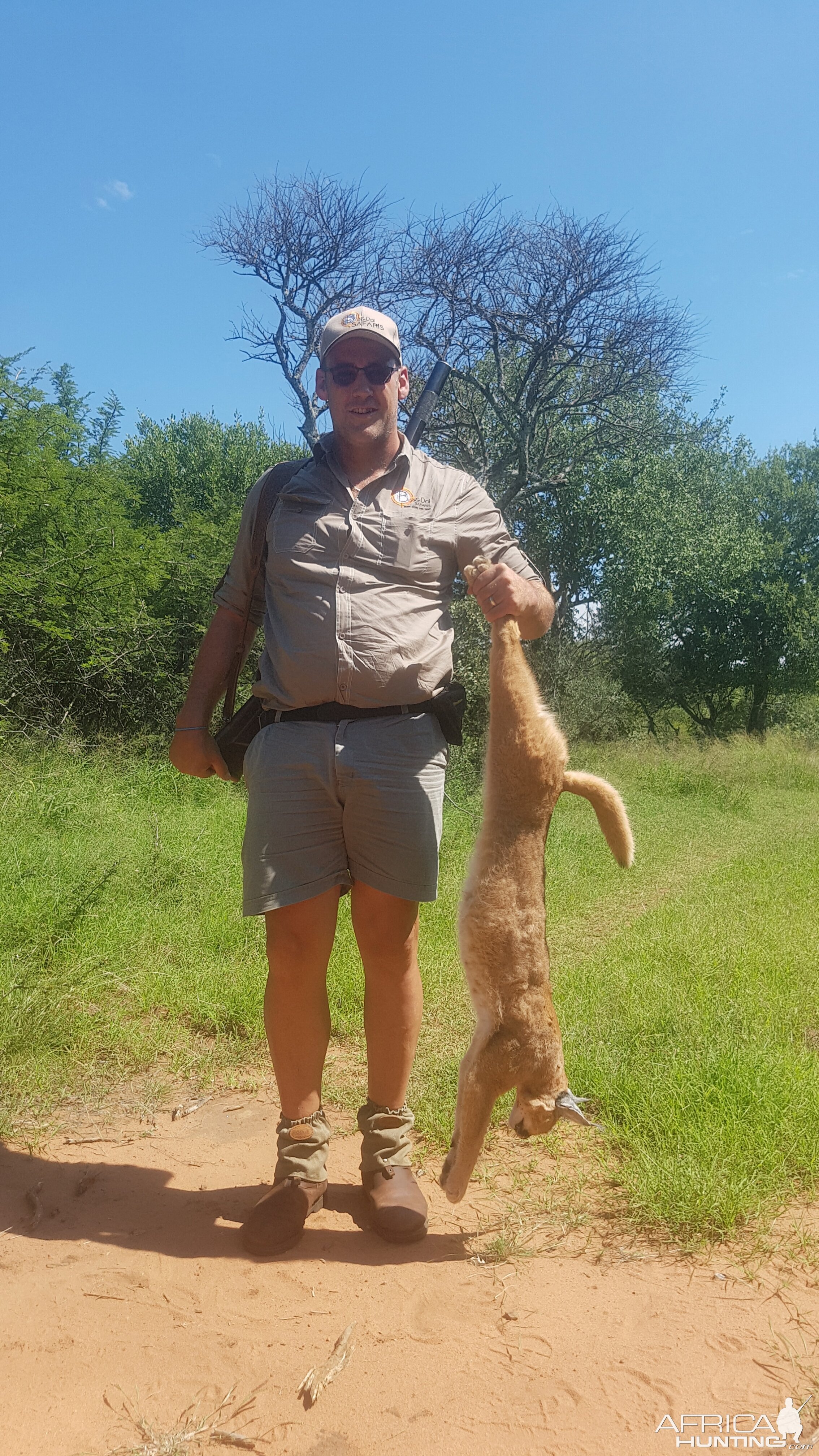 Caracal hunting