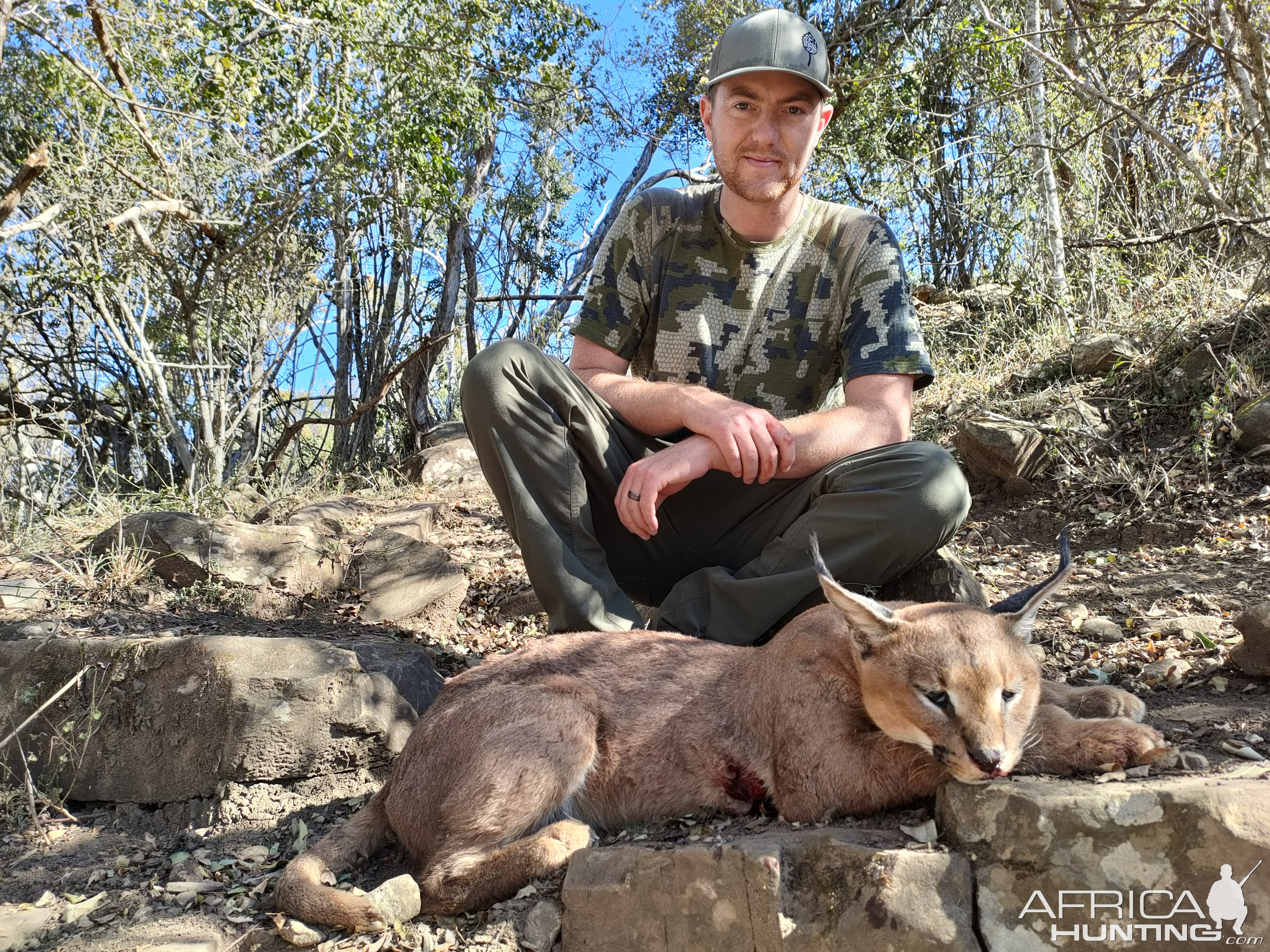 Carcacal Hunt South Africa