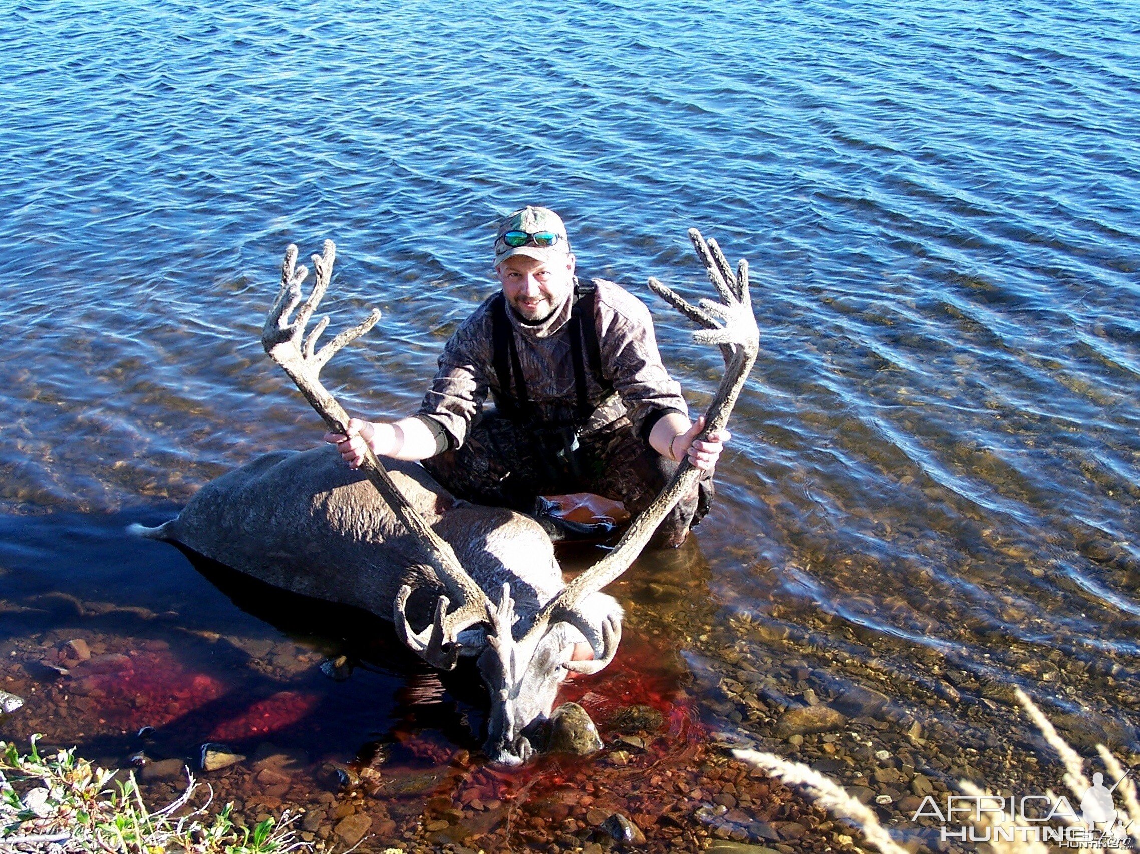 Caribou 2007 Alaska