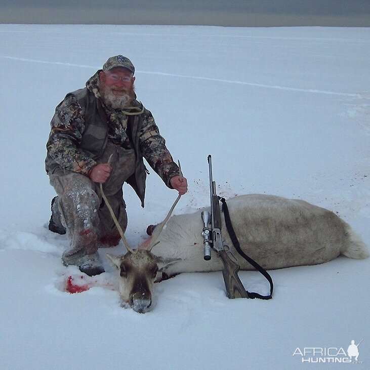 Caribou Hunt Alaska