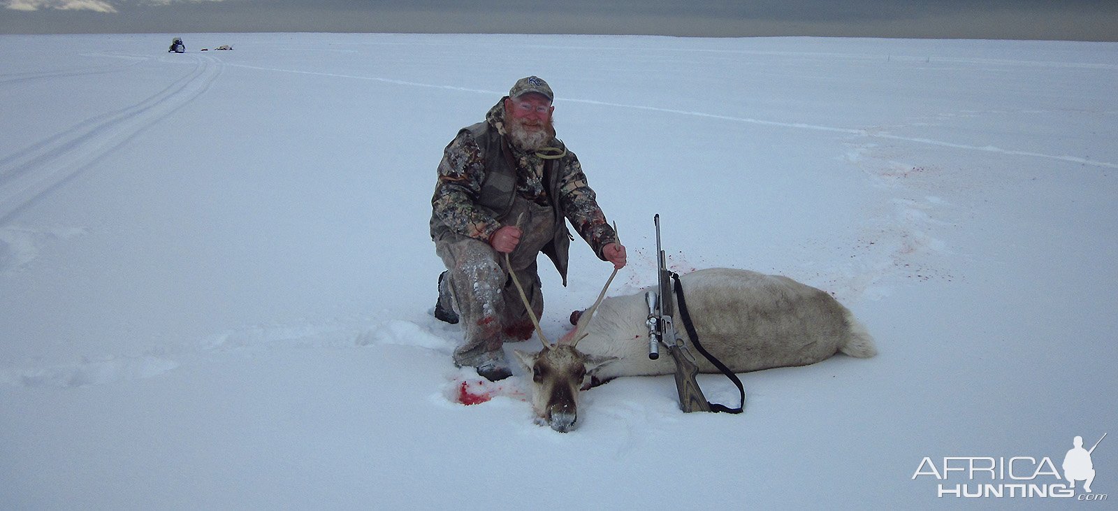 Caribou Hunt Bristol Bay Alaska