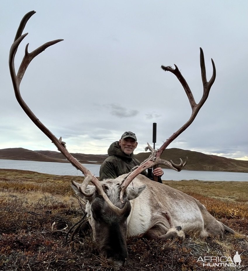 Caribou hunting online